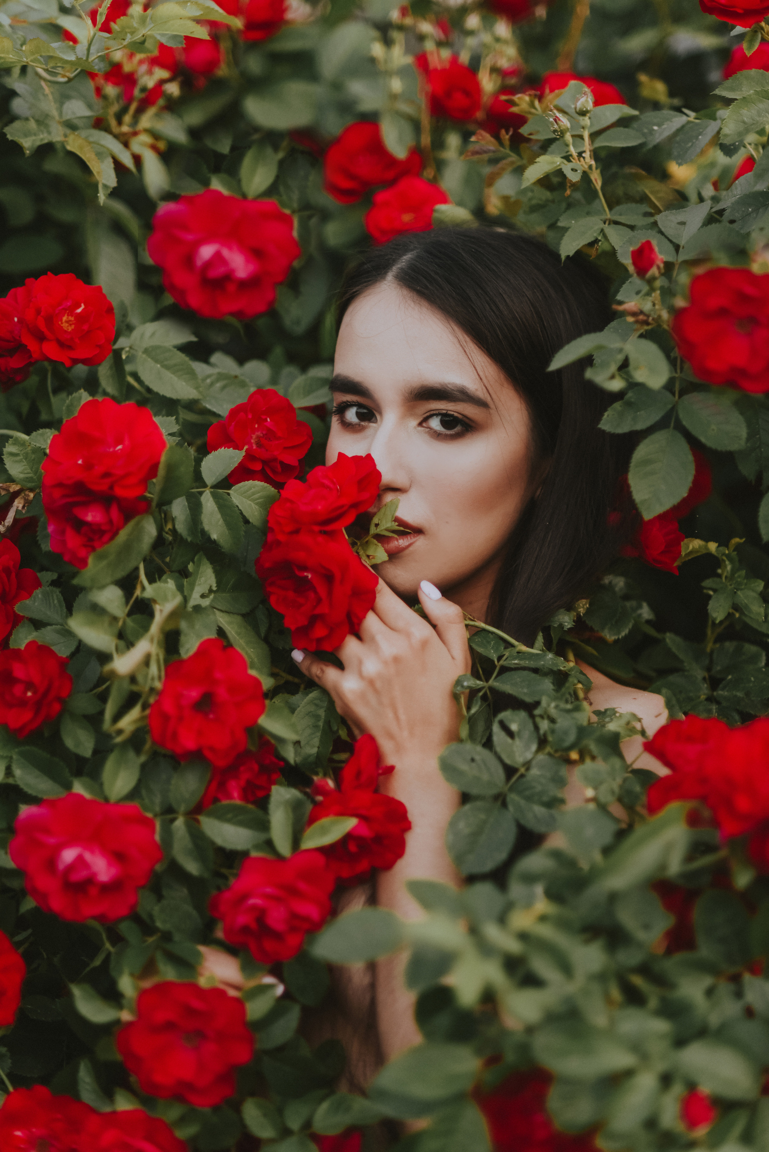 ROSE. NatashaNimfa photo