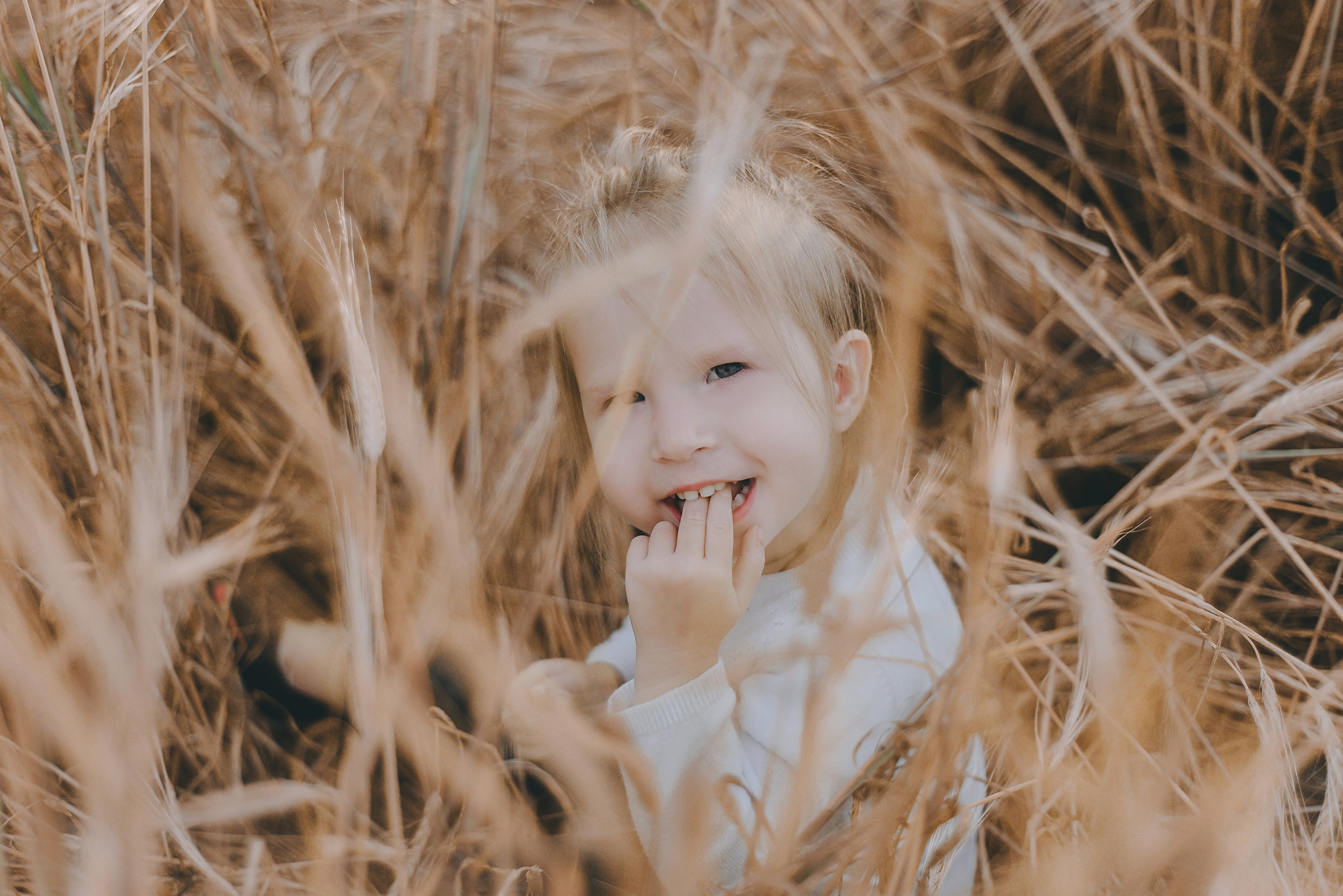 Summer. NatashaNimfa photo