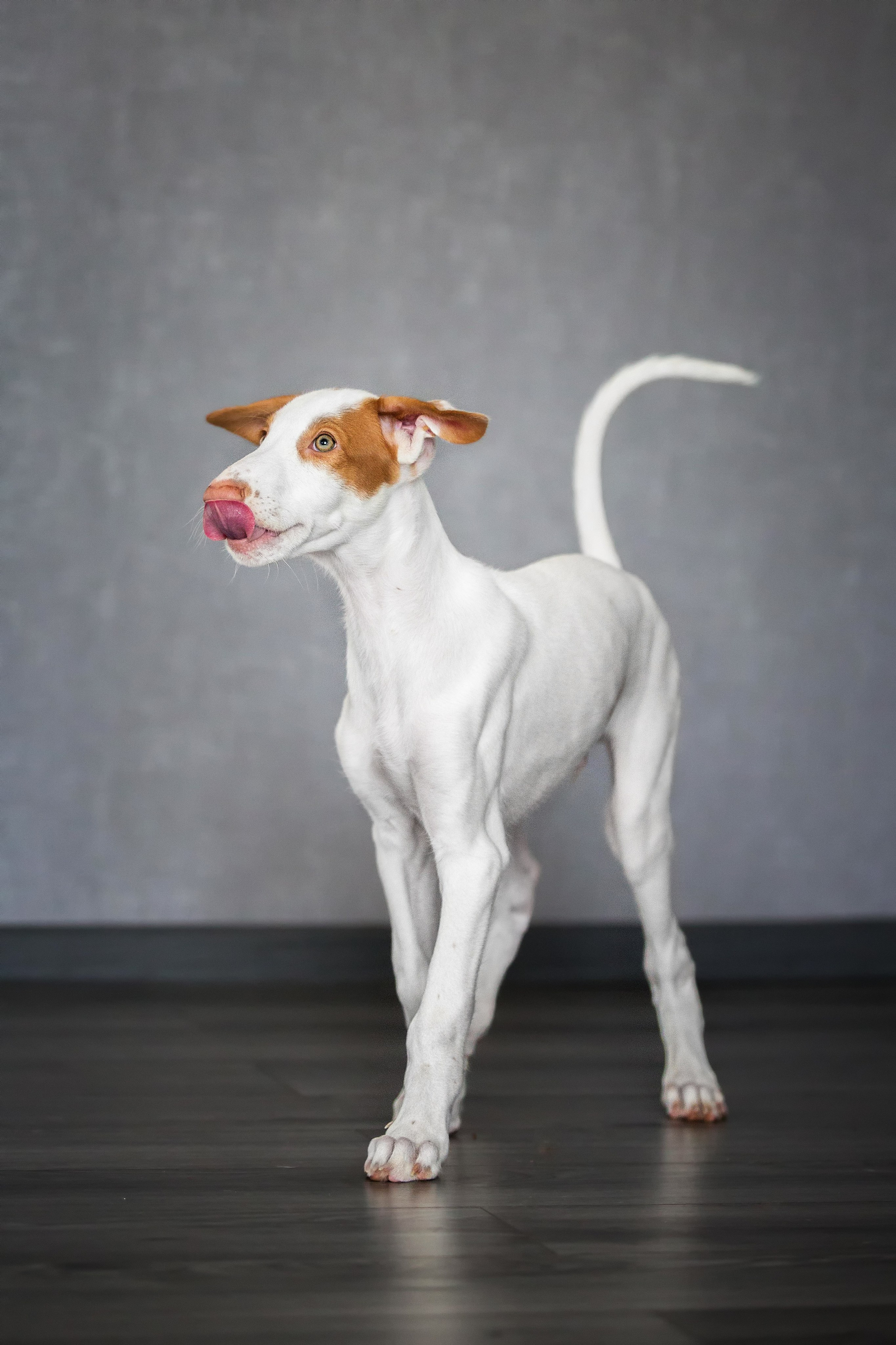 Поденко Ибиценко. Https://moshkovaphoto.ru/