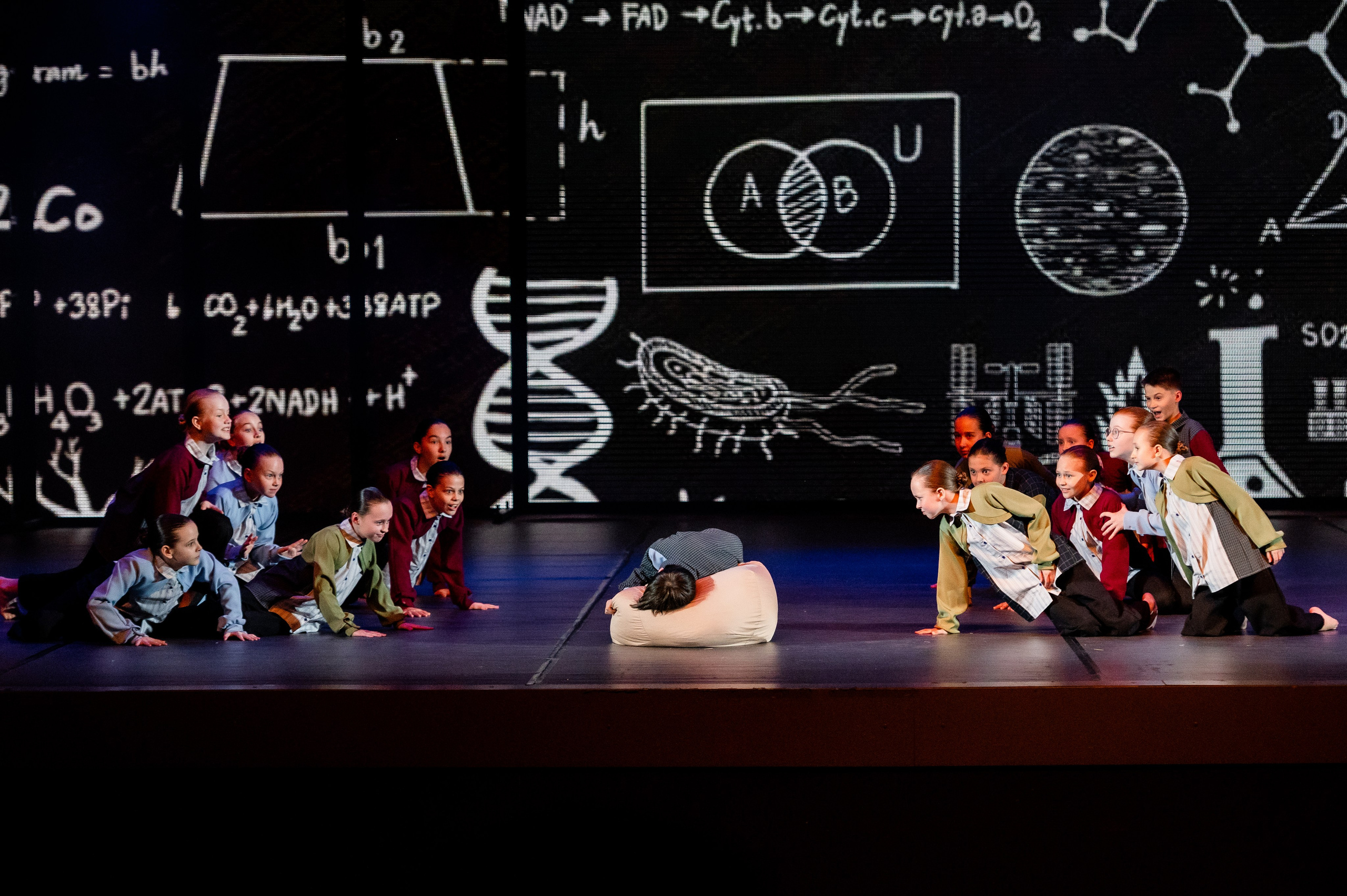 Концерты. Дом детской фотографии Арсюткиной Наталии™