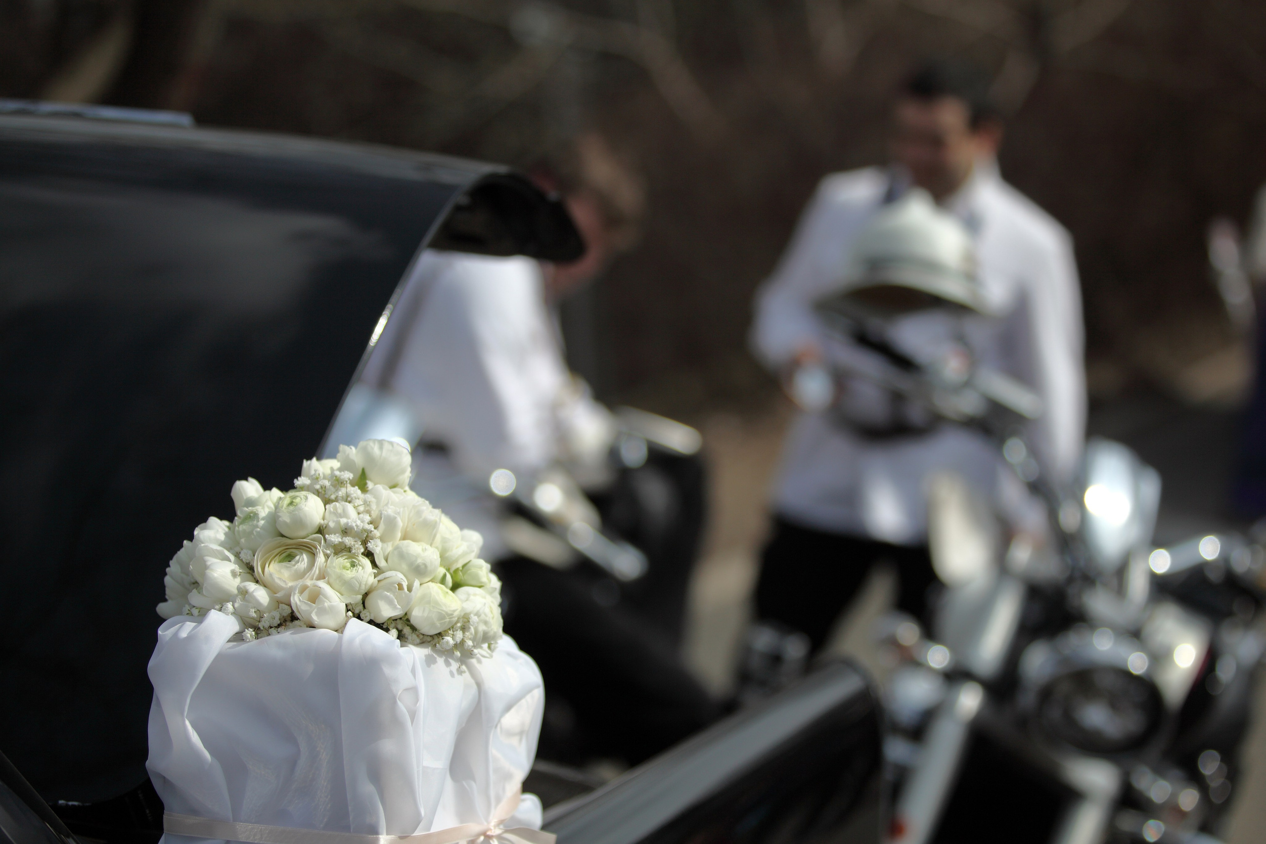 Паша и Даша. Фотограф Лагутин Анатолий