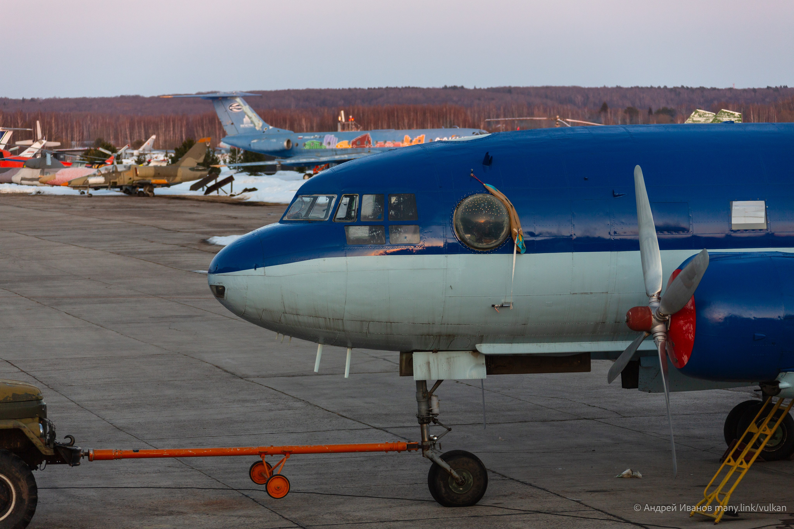 Ил-14Т «Голубая Мечта» (2026 г.). Фотоальбом показывающий увлекательный мир авиации и мир медведей Андрея Иванова