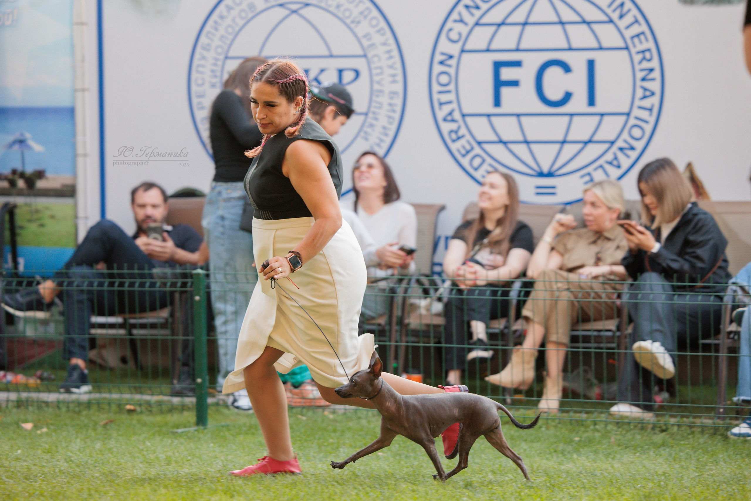 Бишкек 3х CACIB 26-28.09.2025. Фотограф-анималист Юлия Германика