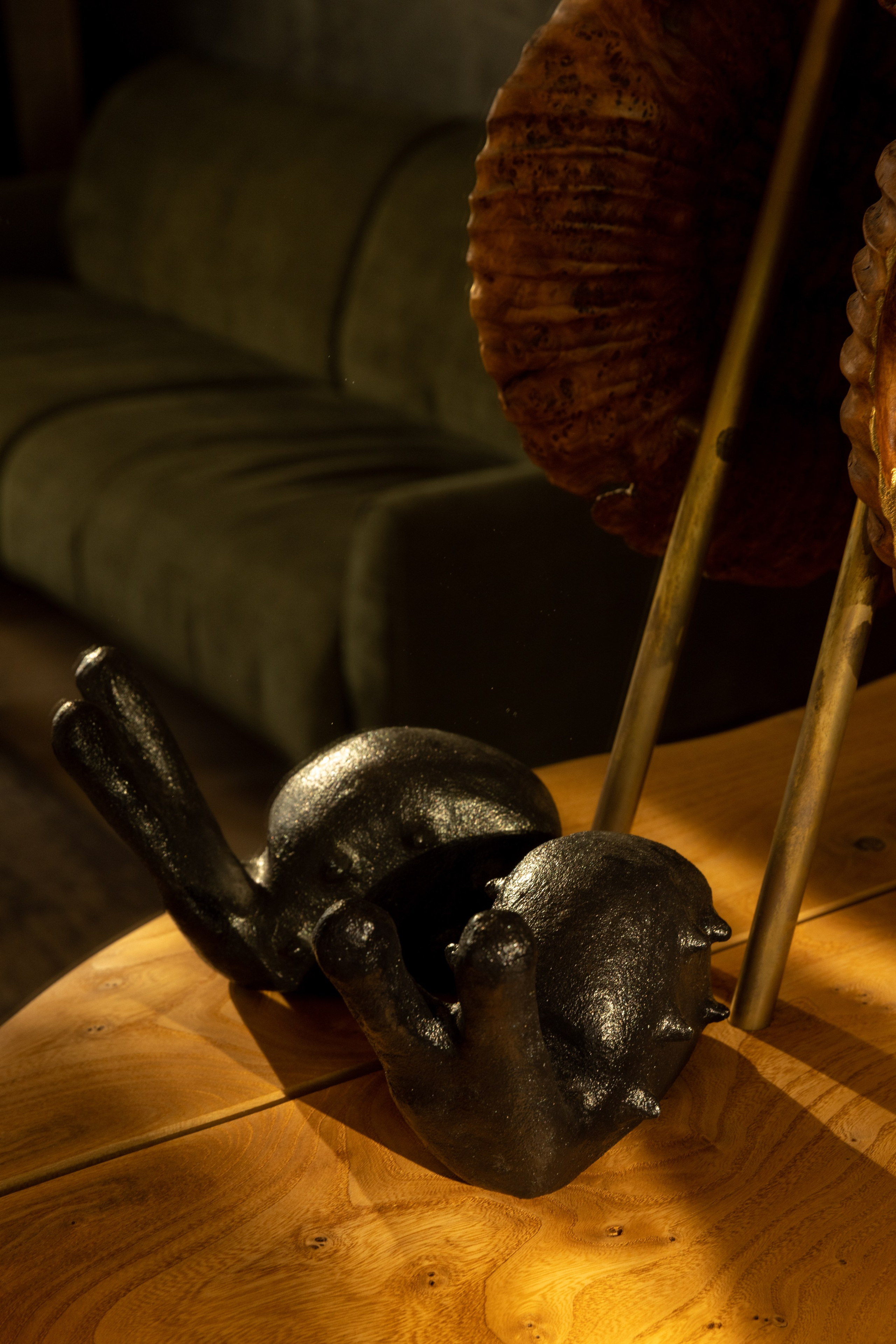 Kseniya Torgashina Designer. Фотограф на Юге России