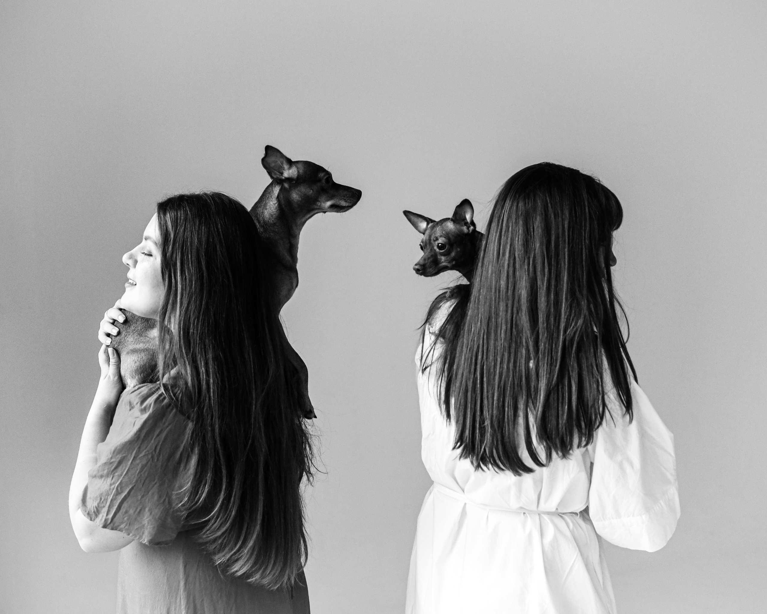 С хвостиками. Портретный фотограф в Москве. Фотосессии с собаками