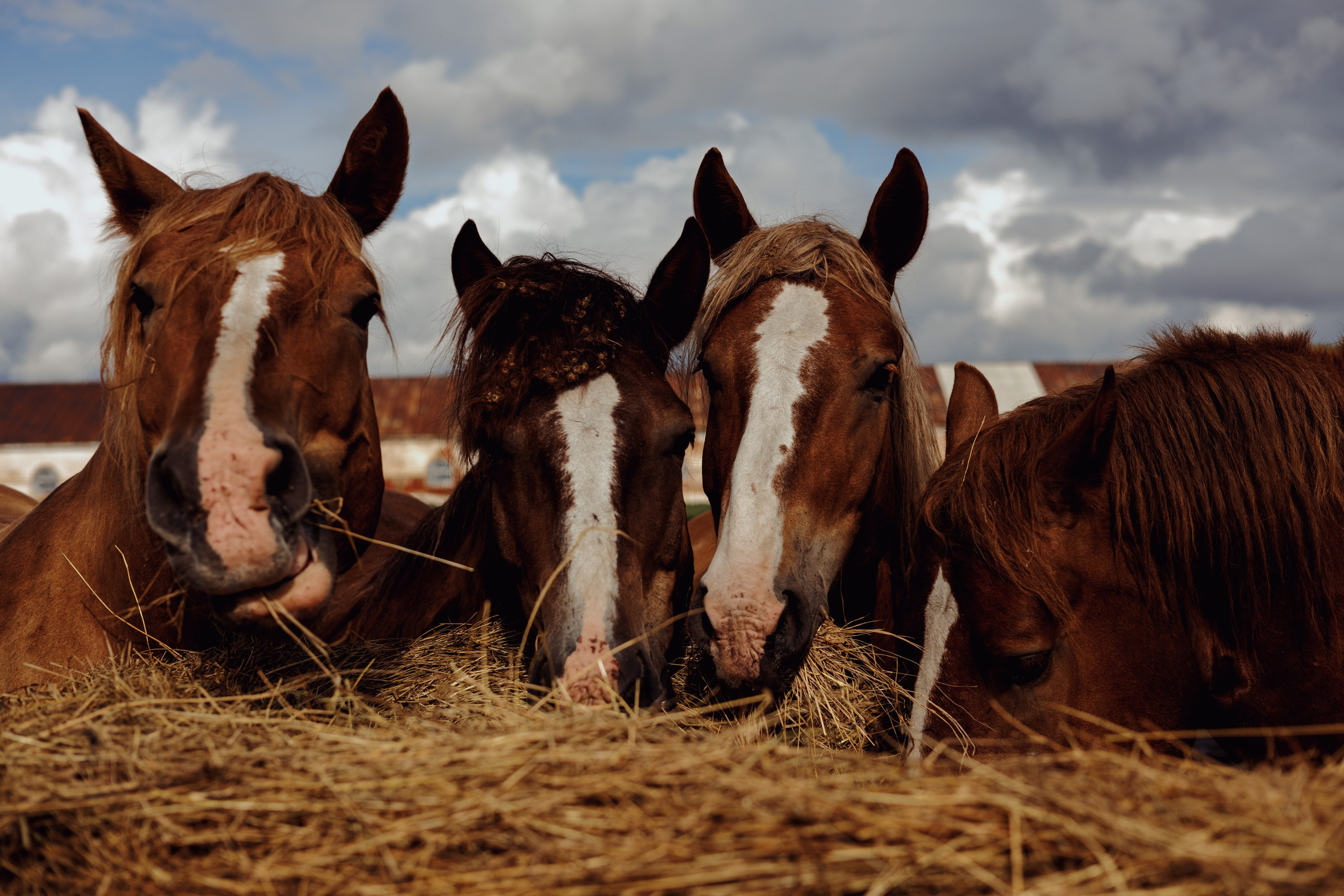 Репортаж. Фотограф Артем Павлов