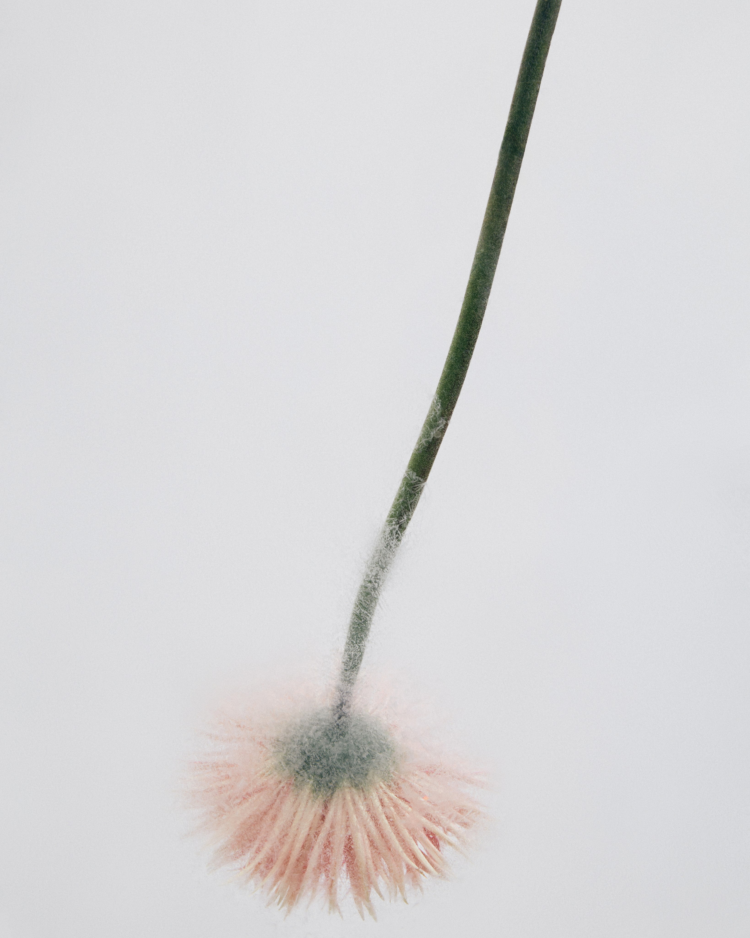 Multibrand. Фотограф и видеограф для брендов в Москве