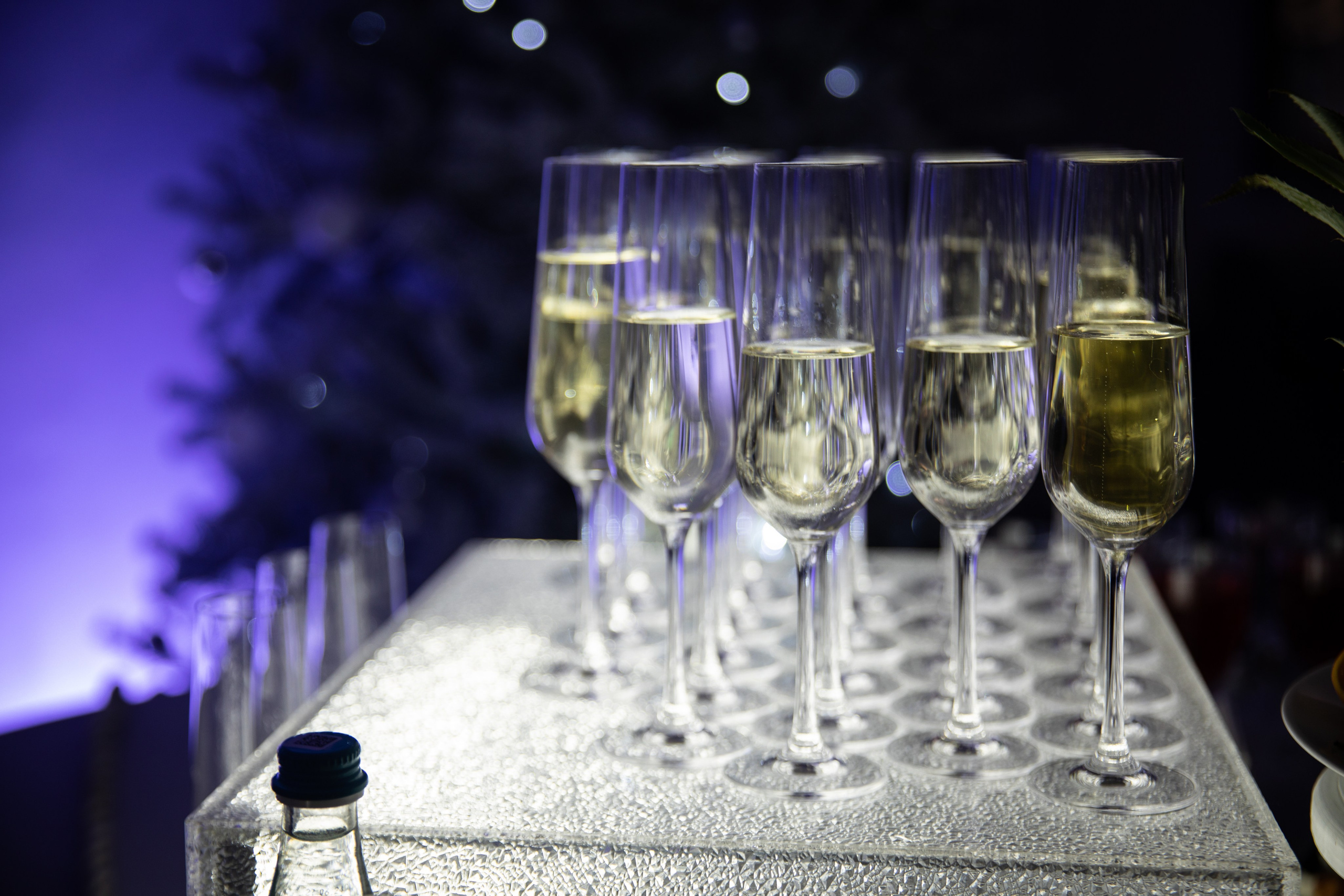 Юбилей. Снежная Королева -2024. Репортажный и свадебный фотограф в Челябинске Елисеев Павел