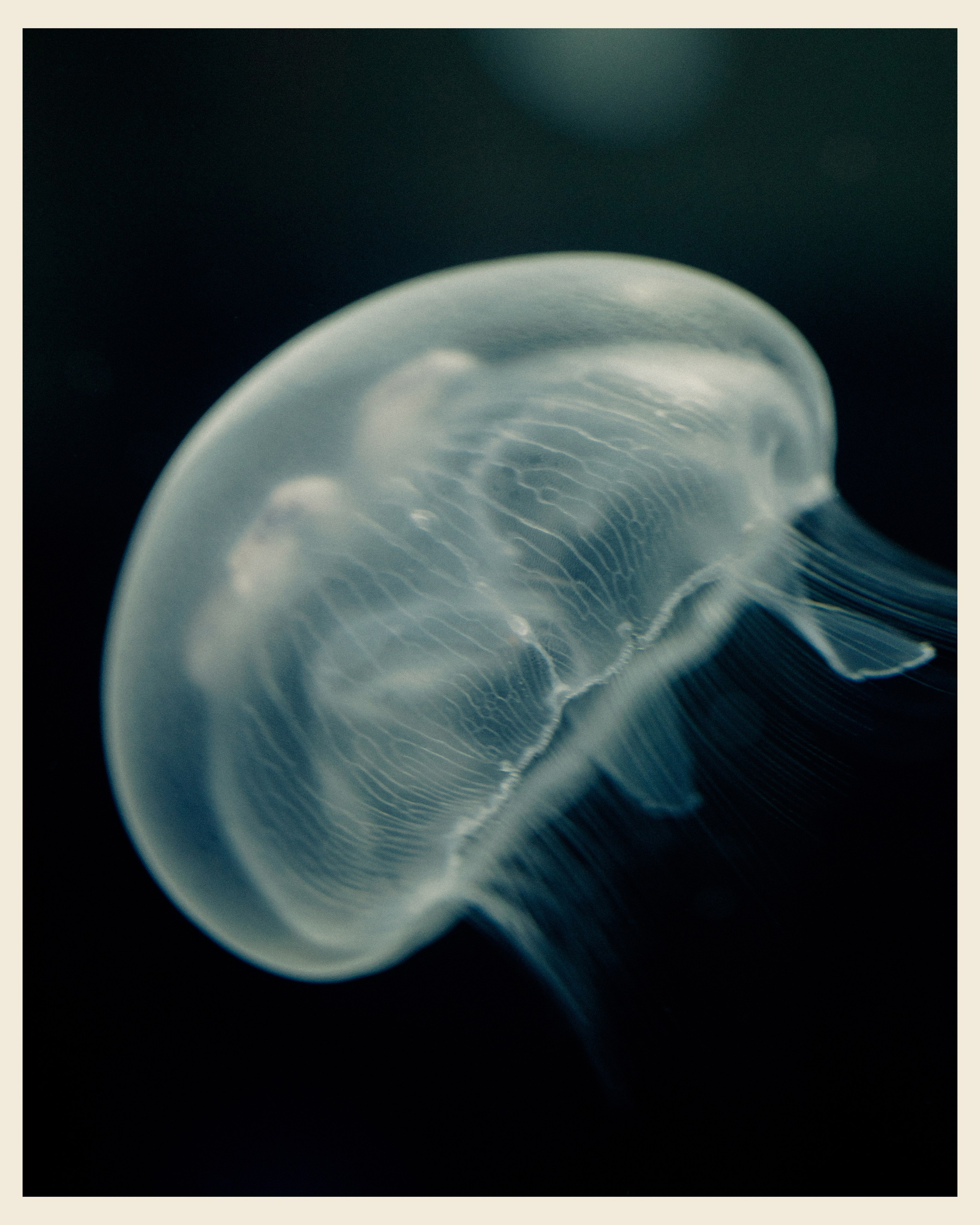 AILAND x VANO. Ivan Petrov photographer