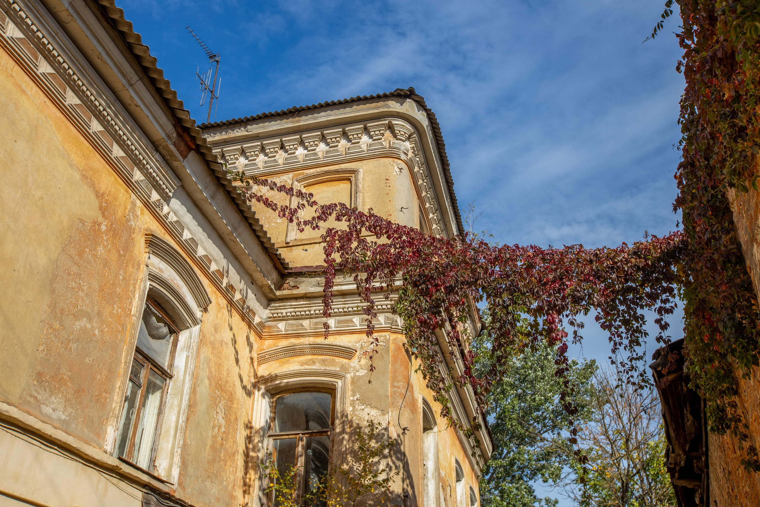 Поездка в Белев и на производство пастилы. Фотограф в Туле Крупский АнДРей. Фотостудия «КАДР71» в Туле