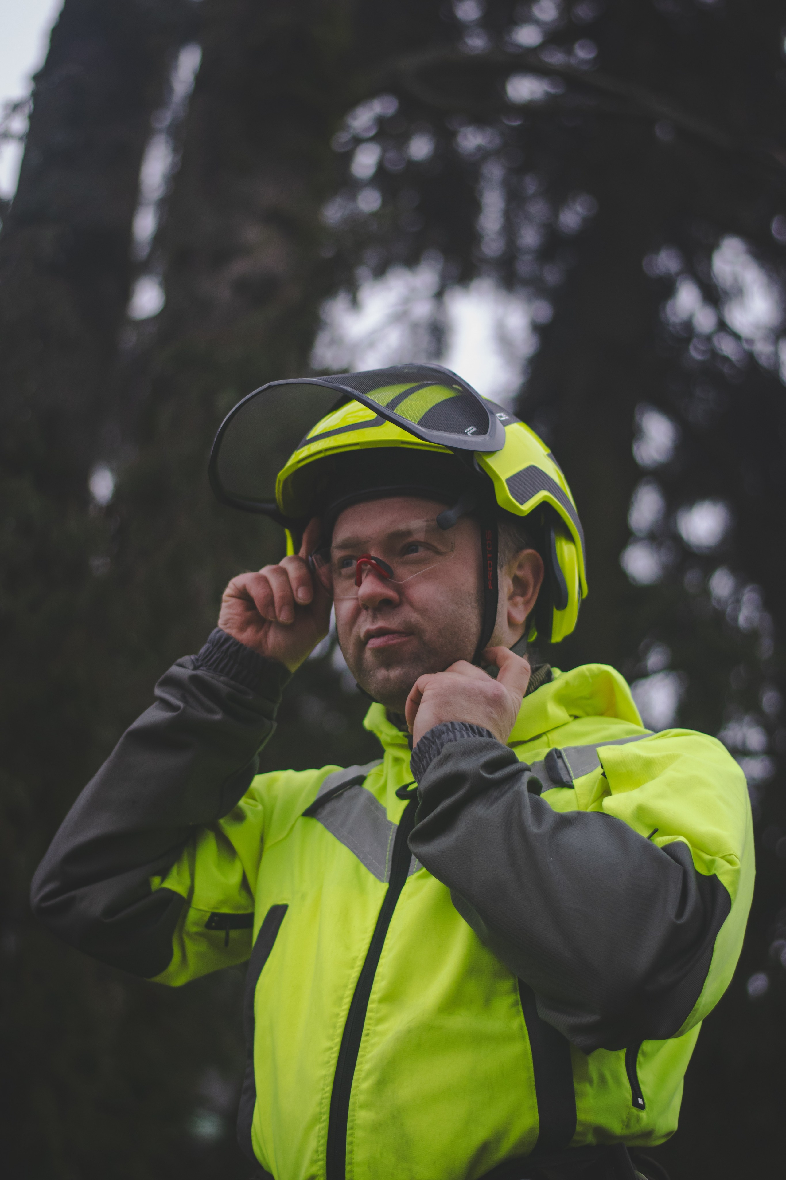 Спил деревьев. Аrbori Culturist