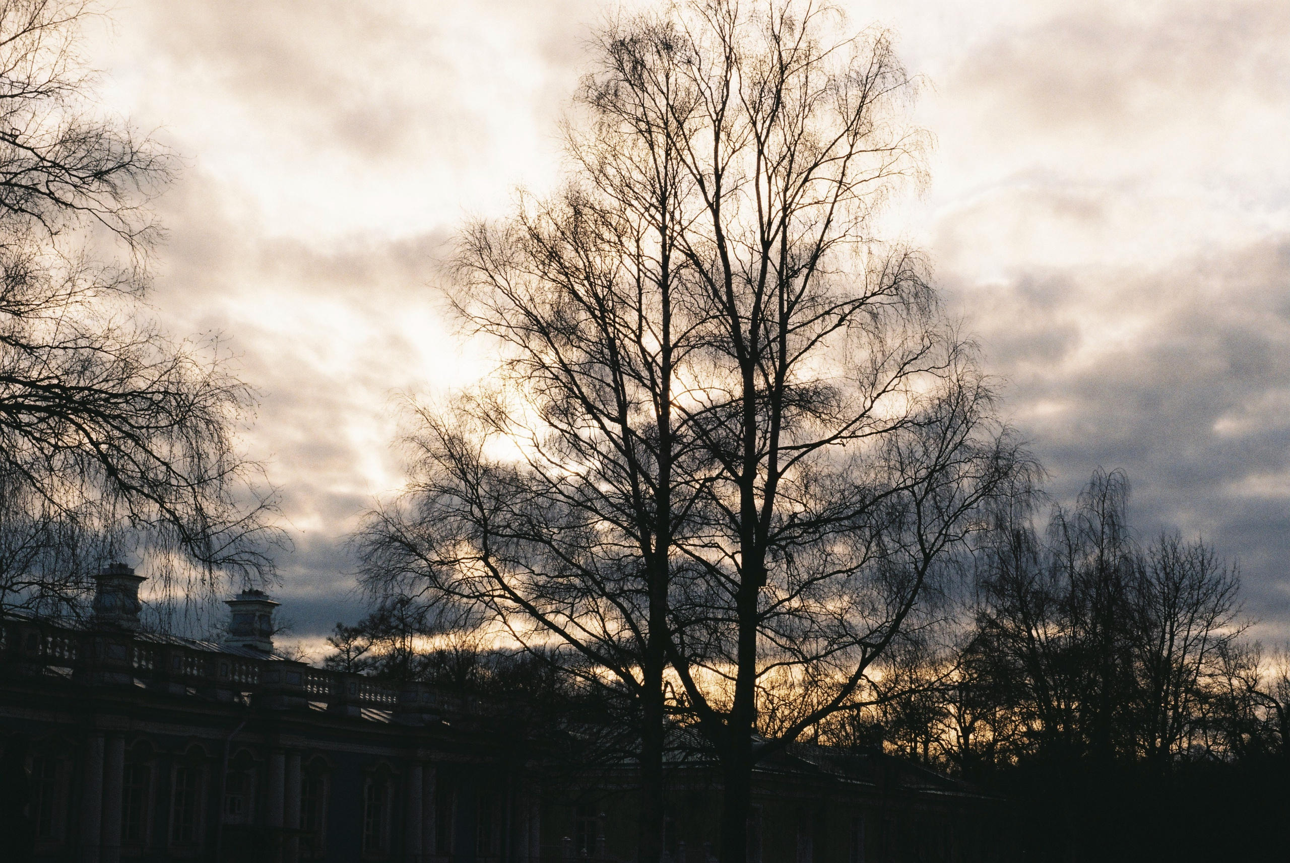 Film. Ruslan UI Dev Page