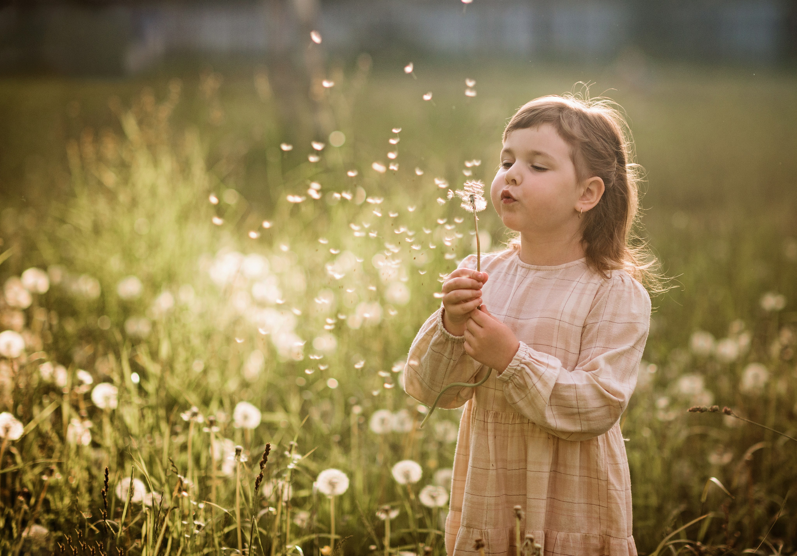 детский фотограф Сыктывкар