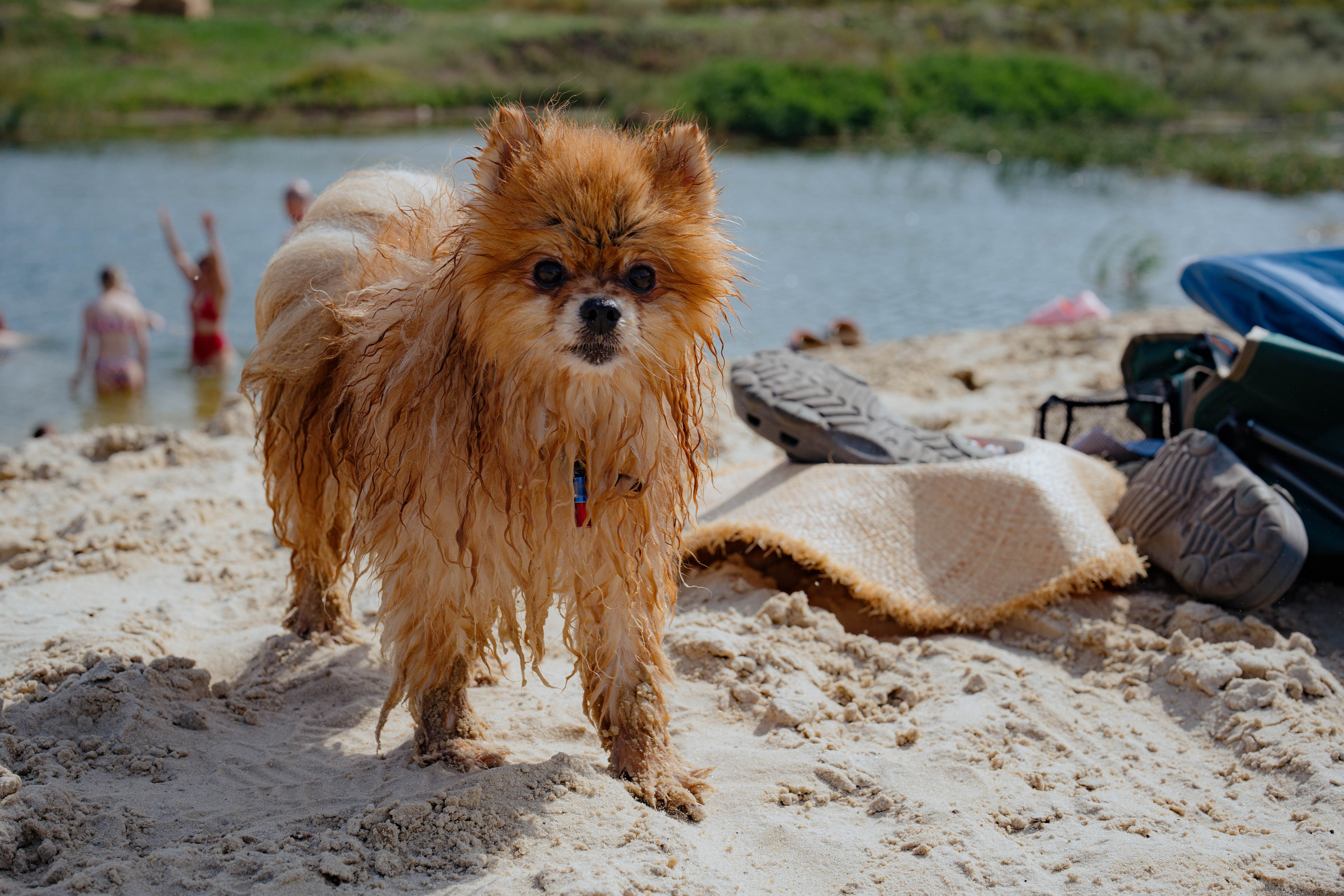 ASS FAMILY | СОН В ДЕРЕВНЕ | АВИАРЕЖИМ 8.0