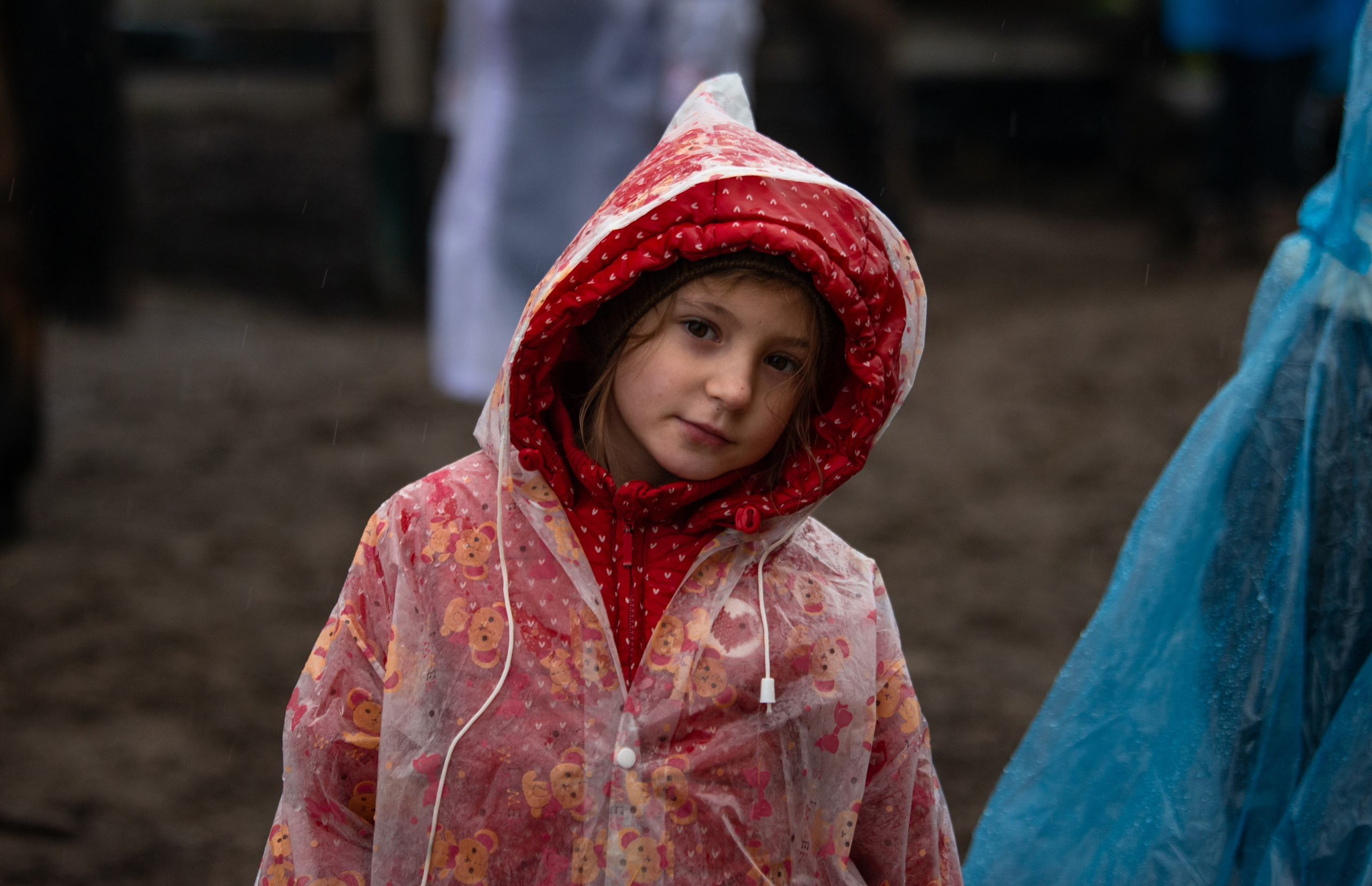 Конный лагерь в Родославном. Конный фотограф в Саратове Юлия Иванова