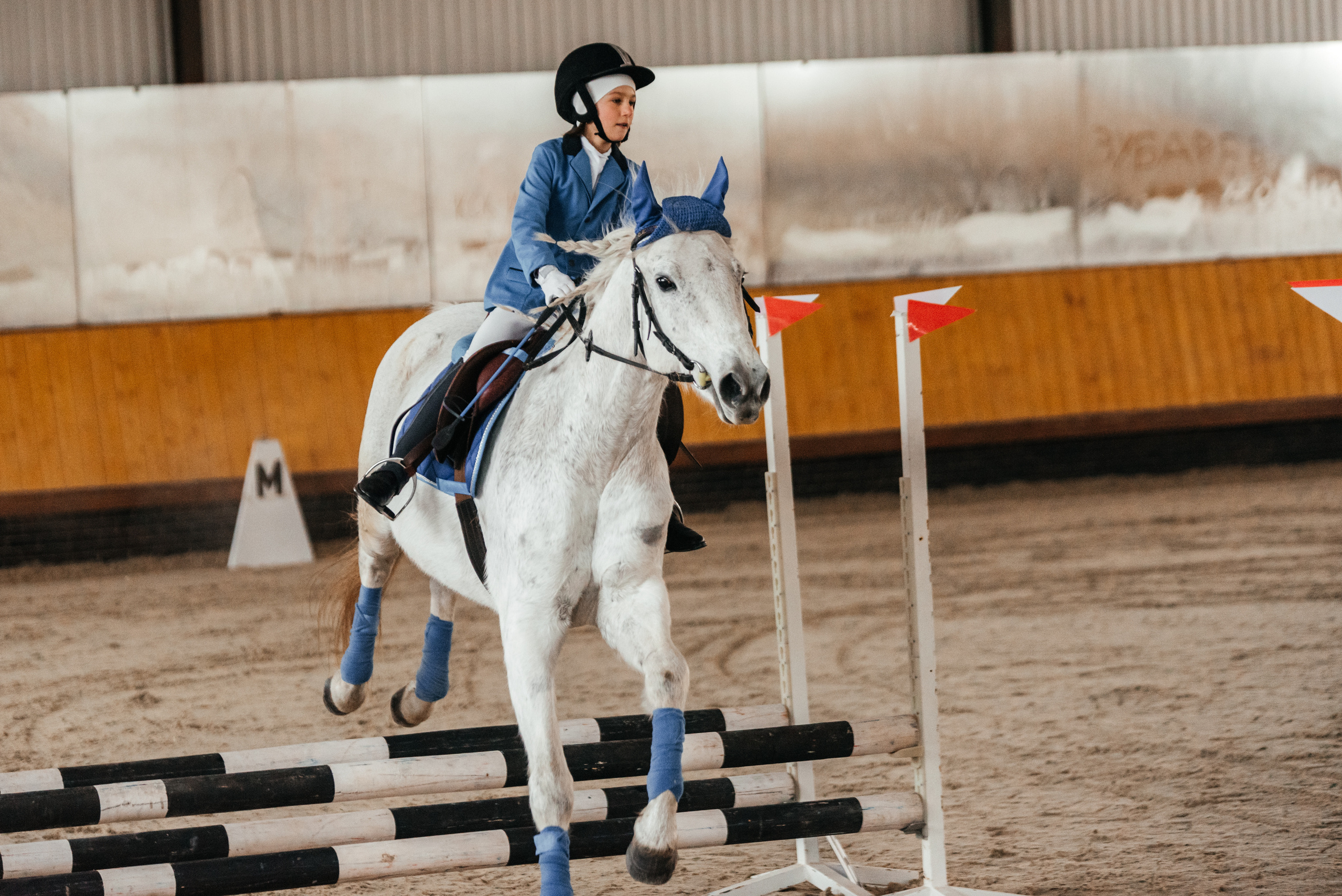 КСК История. 25.02.2023. Конкур. Фотограф Рязань