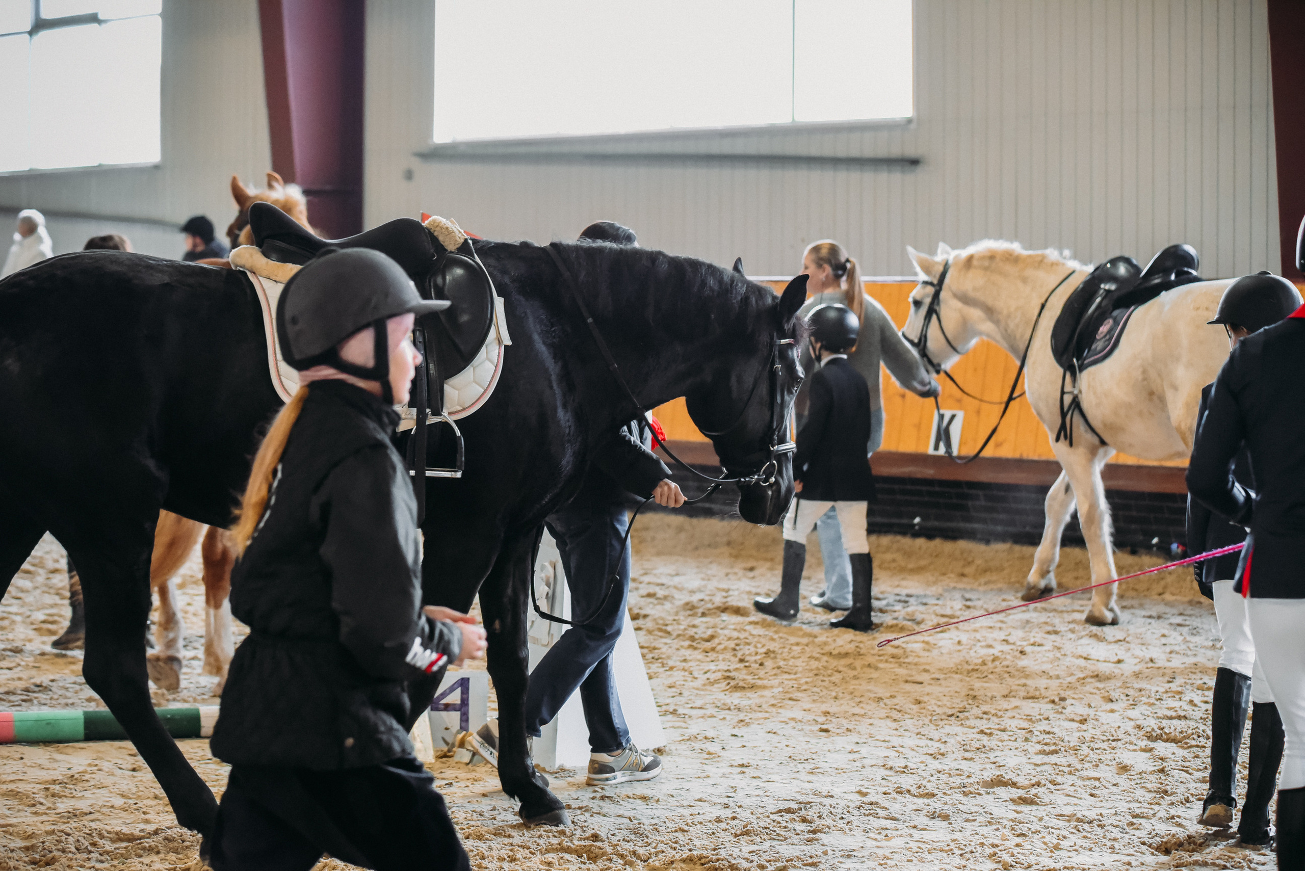 КСК История. Финал 2022 г.Конкур. Фотограф Рязань