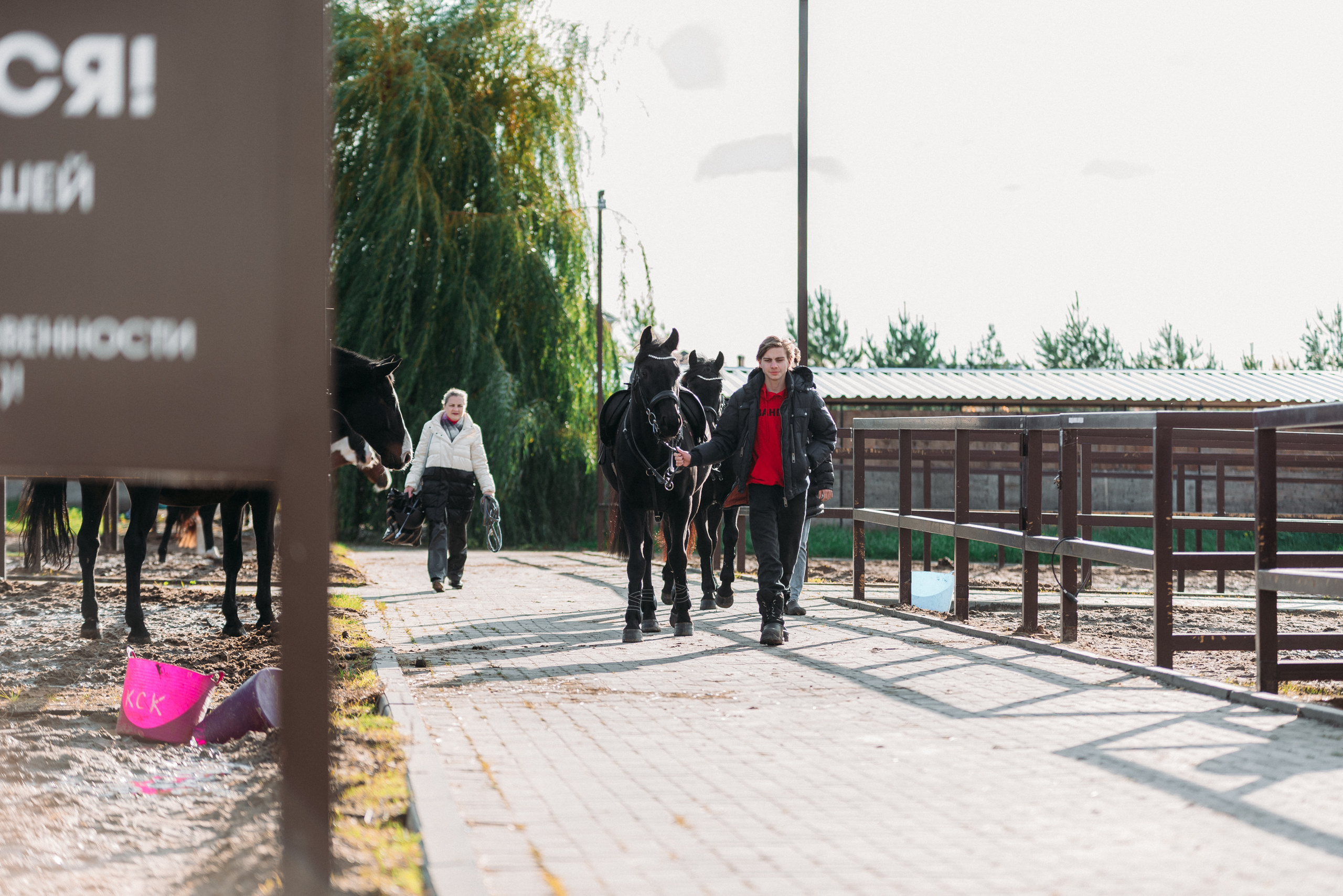 КСК История. Финал 2022 г.Конкур. Фотограф Рязань