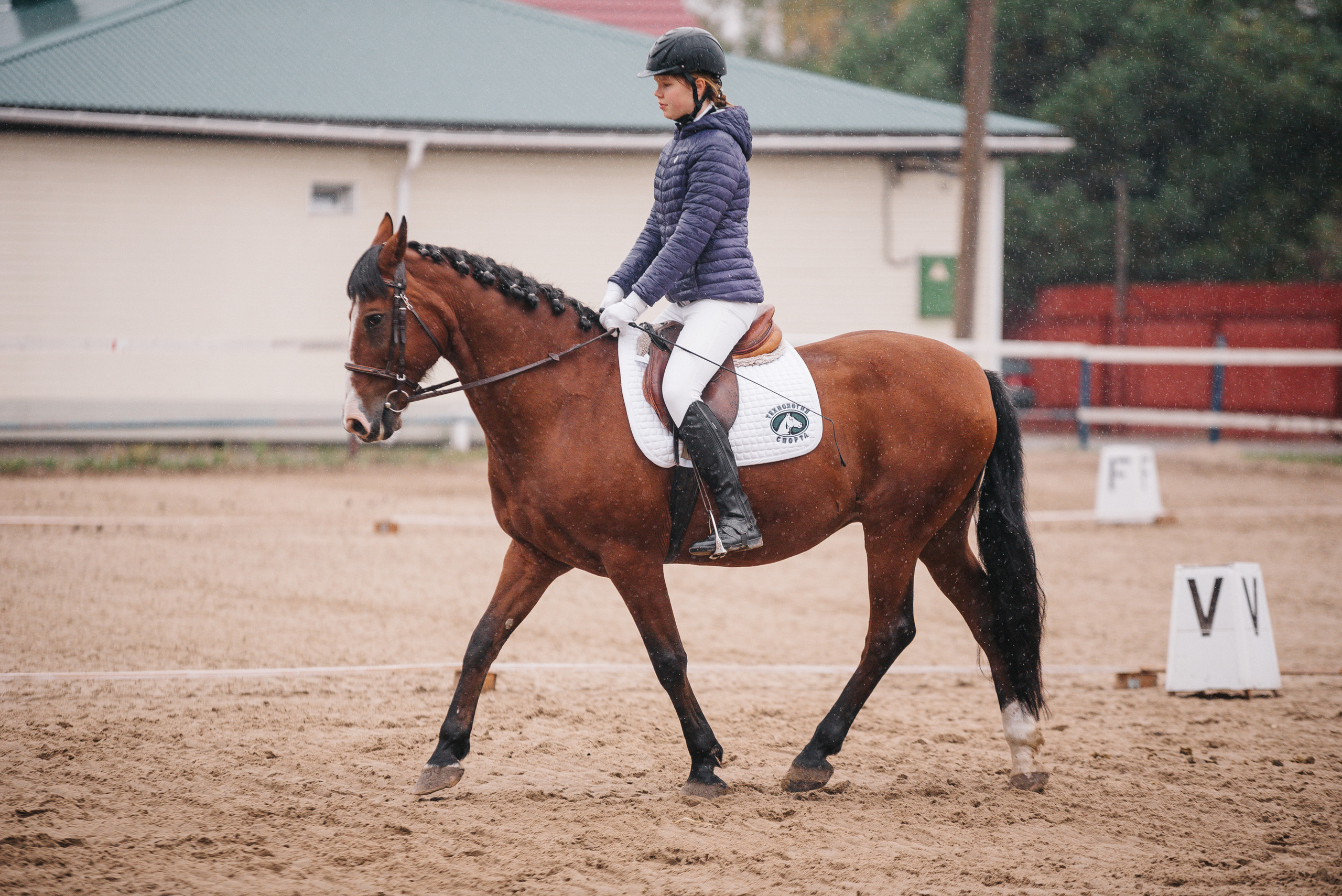 КСК Росинант. Клубные соревнования-выездка. Фотограф Рязань