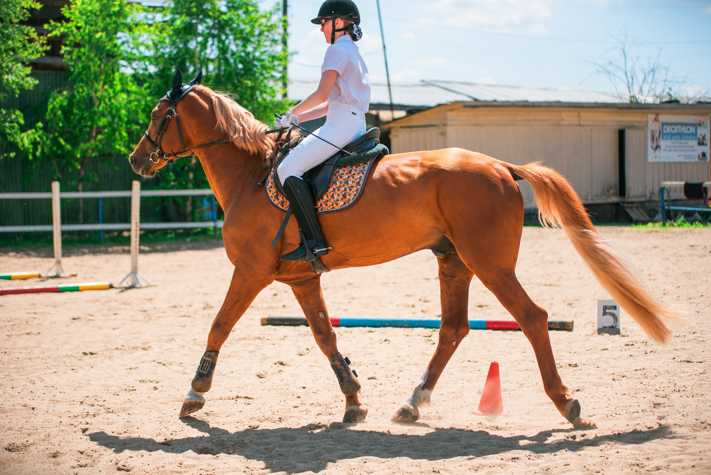 КСК Росинант. Клубные соревнования. Фотограф Рязань