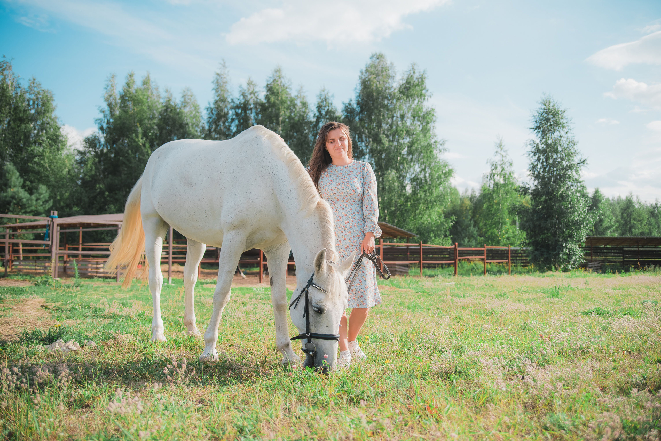Фотосессии с лошадьми. Фотограф Рязань