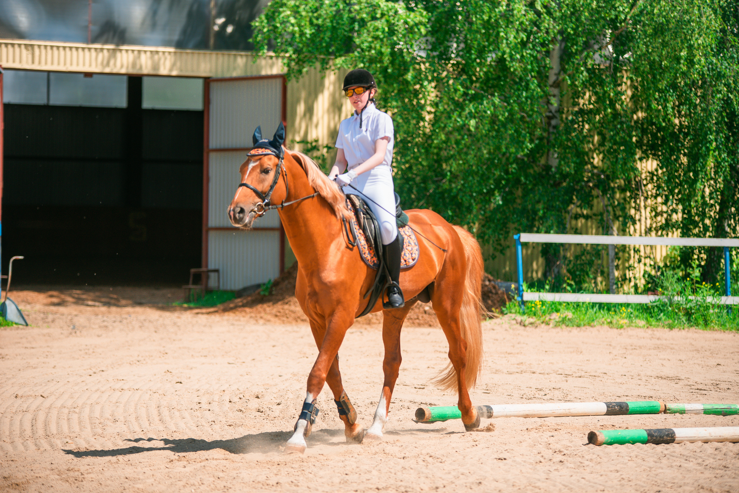 КСК Росинант. Клубные соревнования. Фотограф Рязань