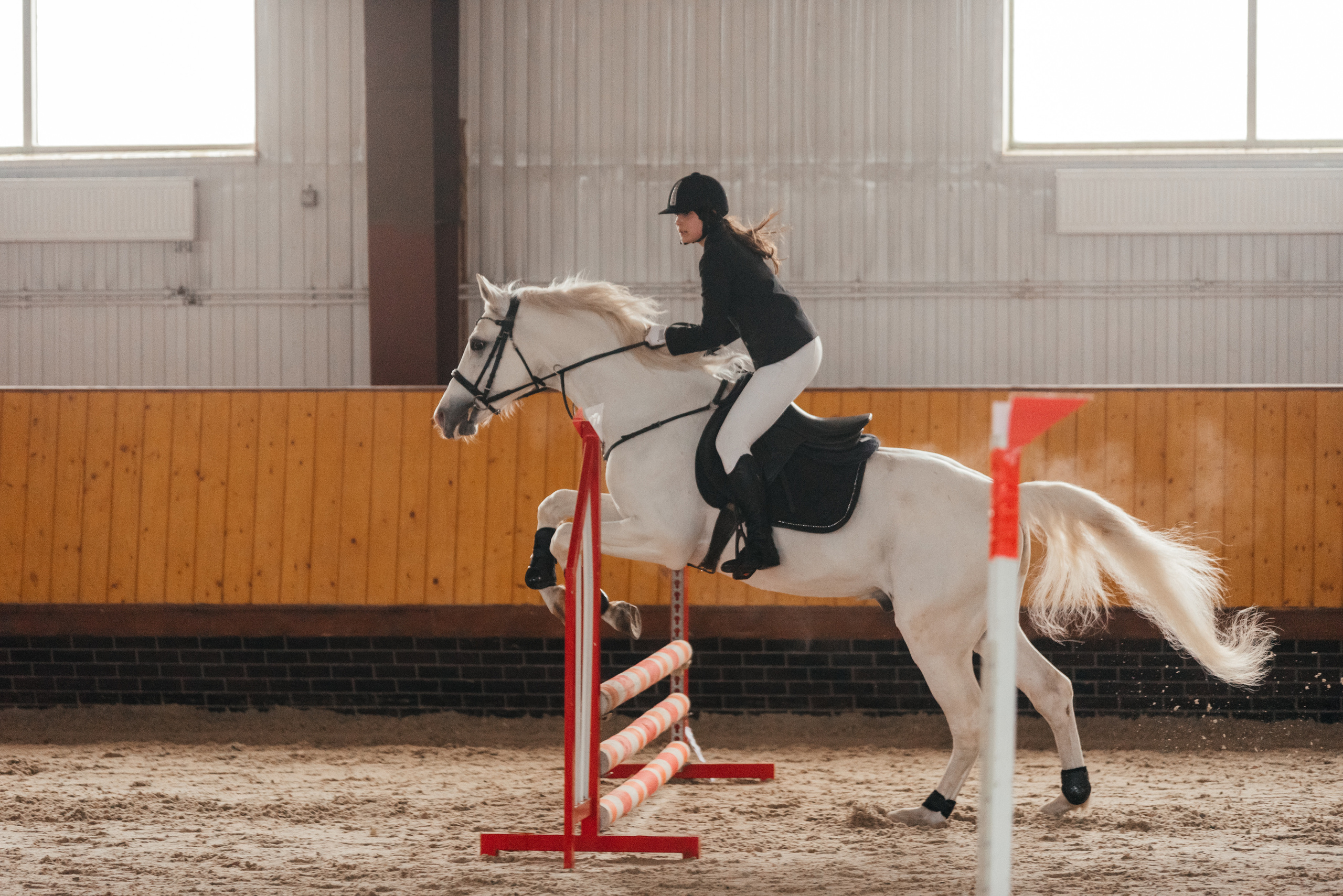 КСК История. 25.02.2023. Конкур. Фотограф Рязань