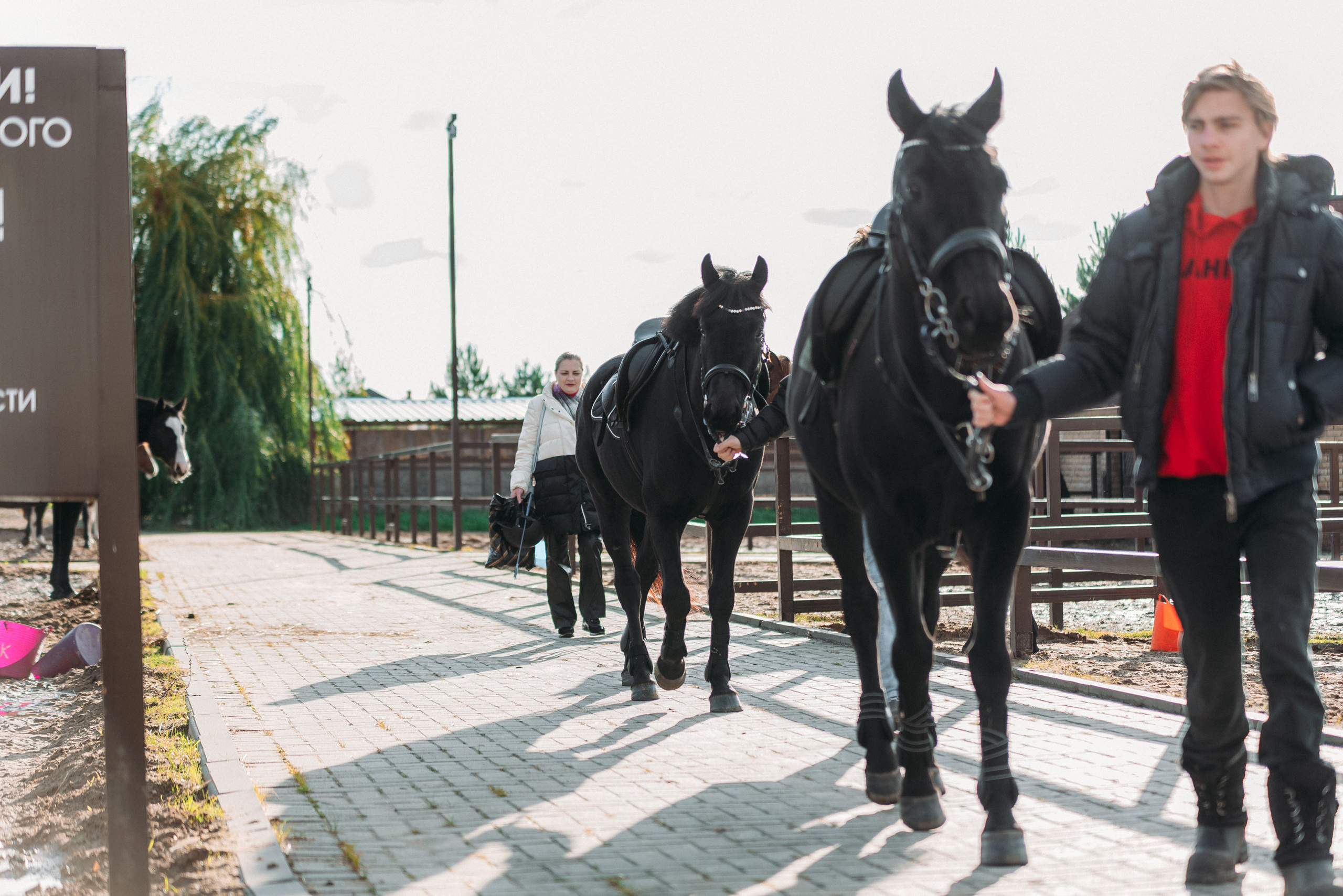 КСК История. Финал 2022 г.Конкур. Фотограф Рязань