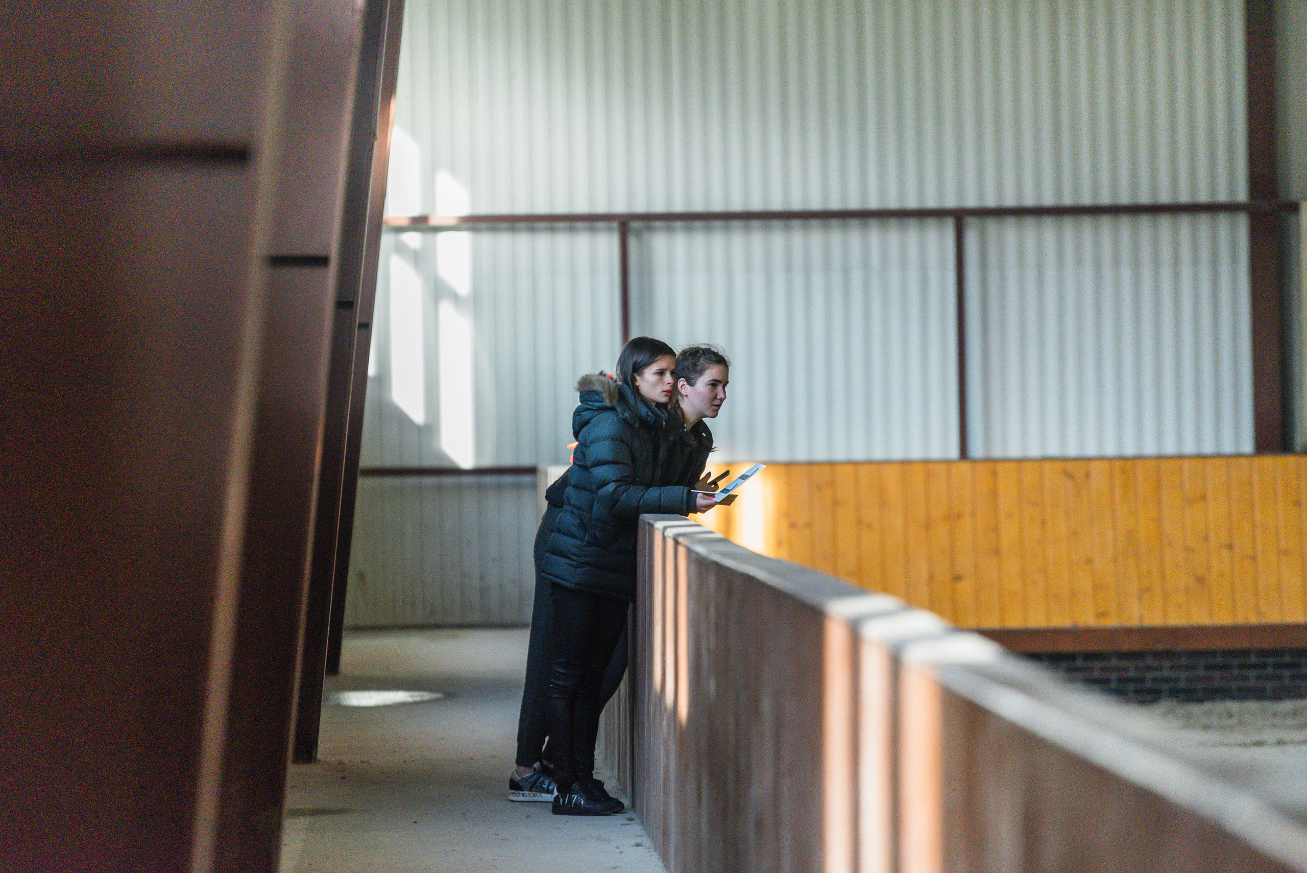 КСК История. Финал 2022 г.Конкур. Фотограф Рязань