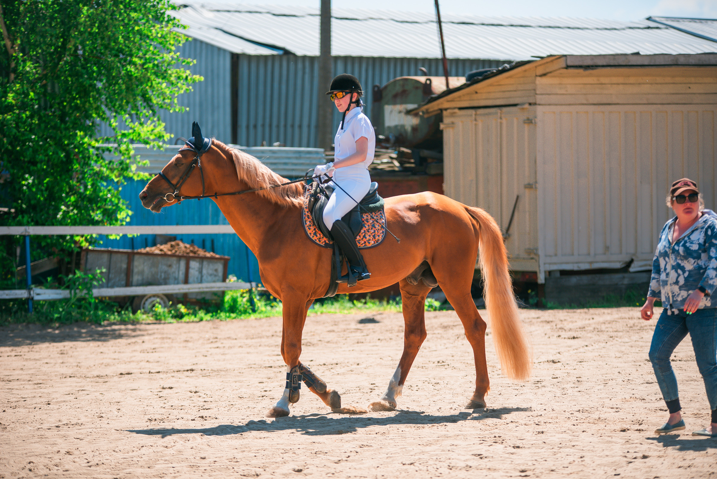 КСК Росинант. Клубные соревнования. Фотограф Рязань