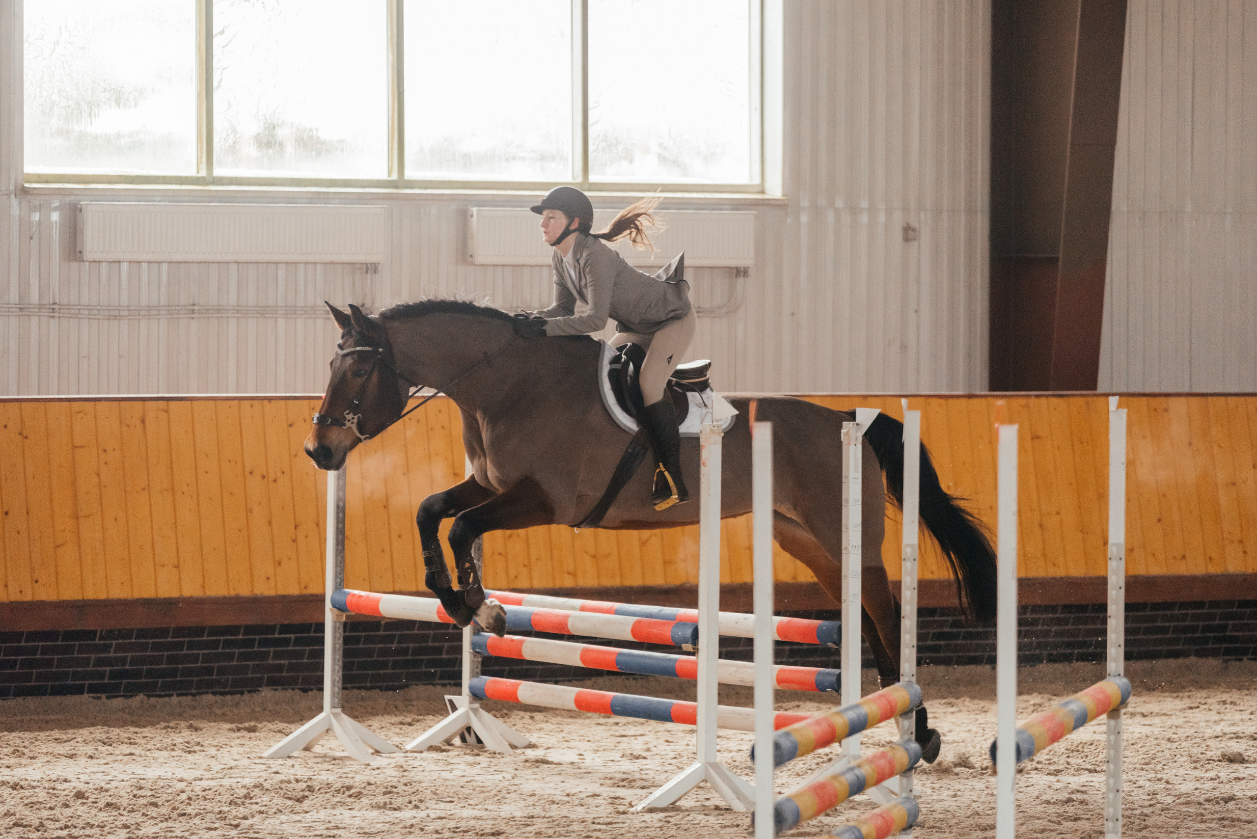 КСК История. 25.02.2023. Конкур. Фотограф Рязань