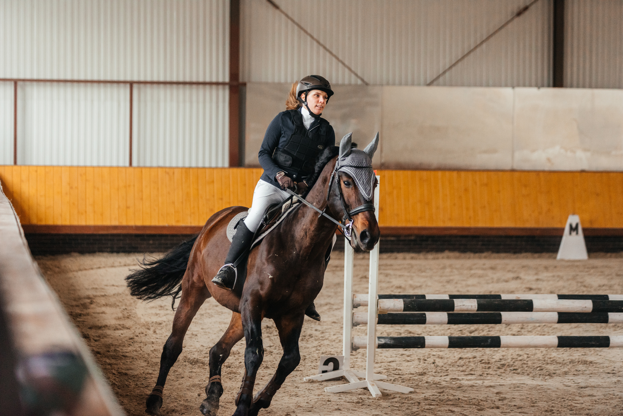 КСК История. 25.02.2023. Конкур. Фотограф Рязань