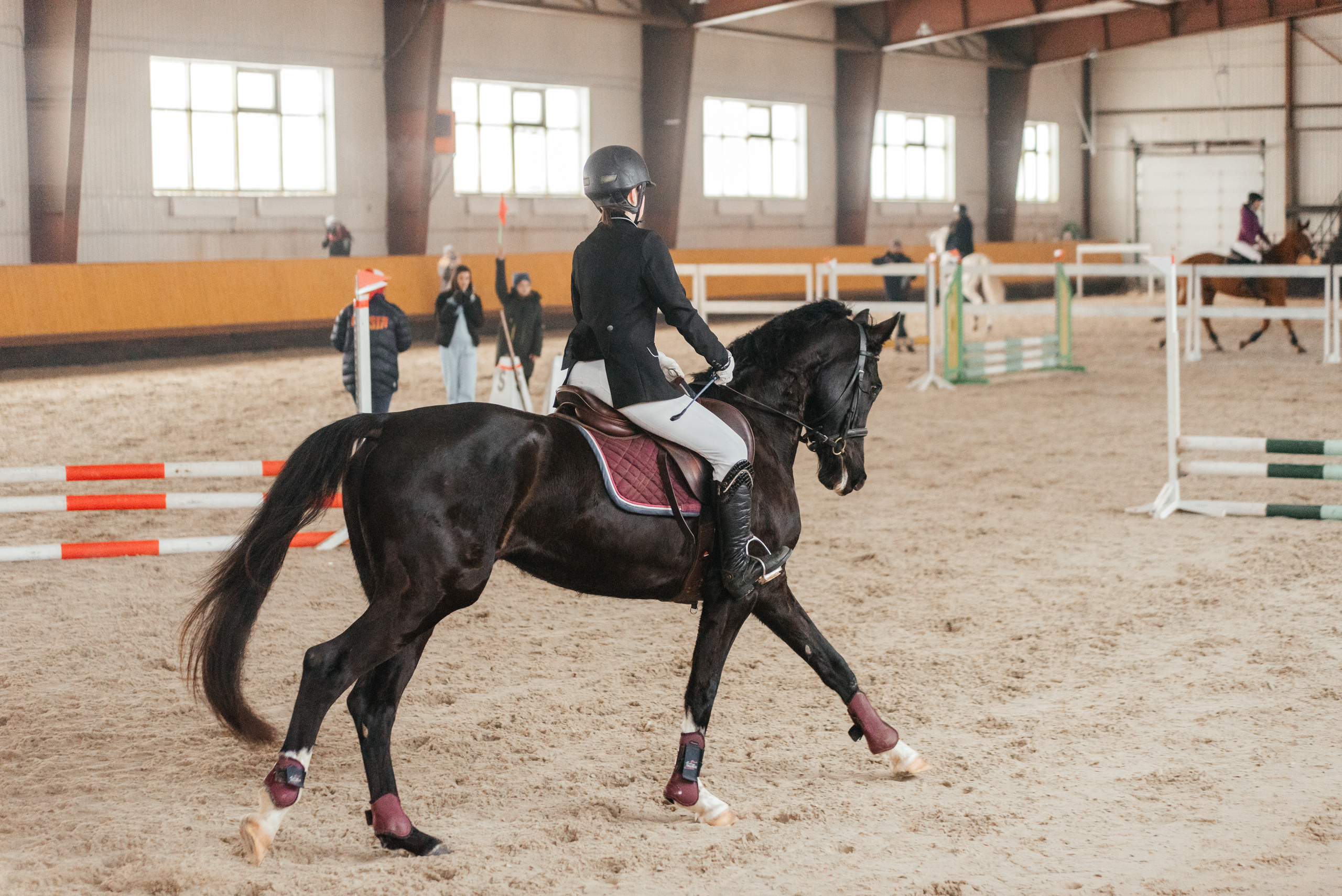 КСК История. 25.02.2023. Конкур. Фотограф Рязань