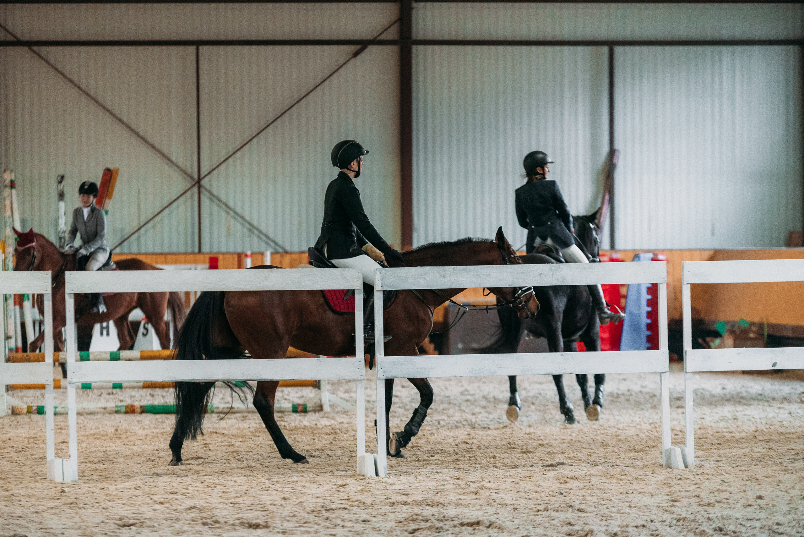 КСК История. Финал 2022 г.Конкур. Фотограф Рязань