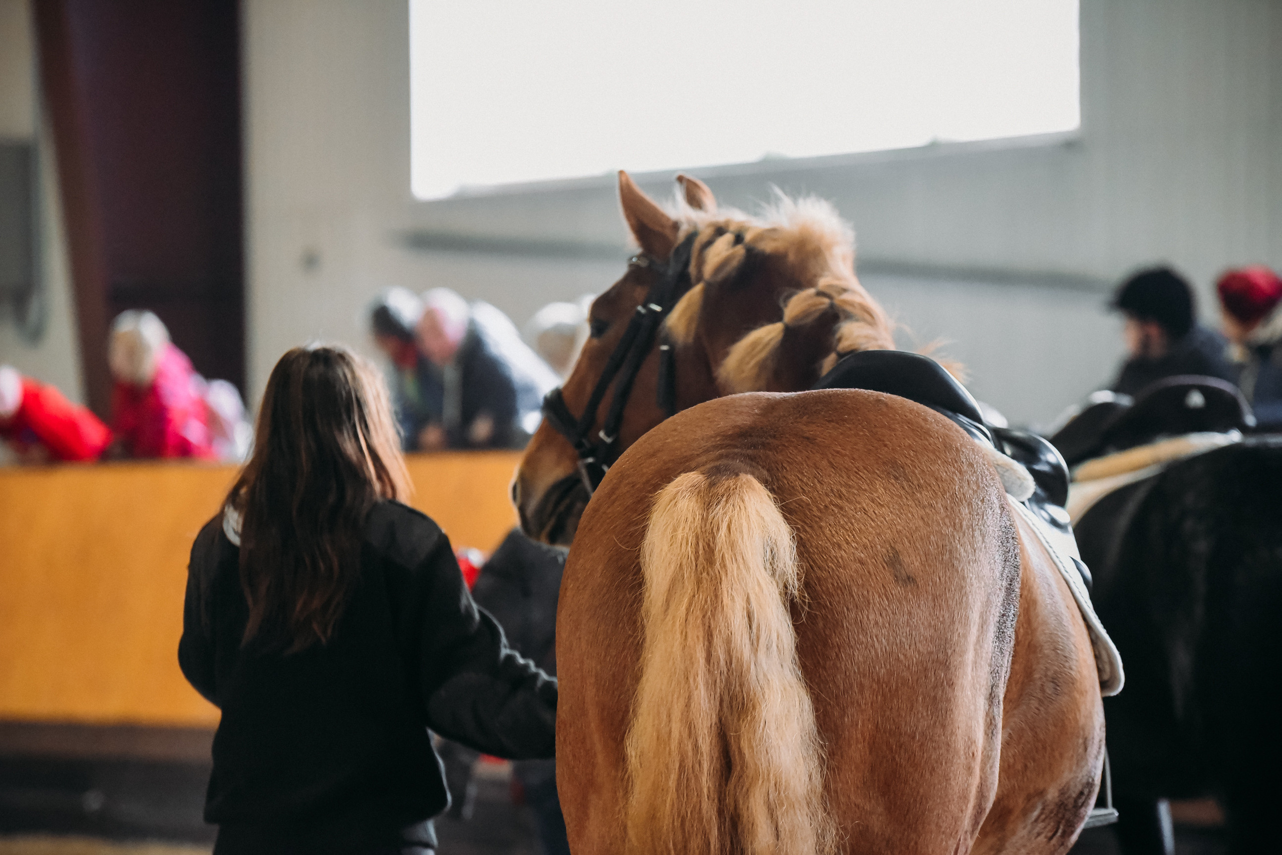 КСК История. Финал 2022 г.Конкур. Фотограф Рязань