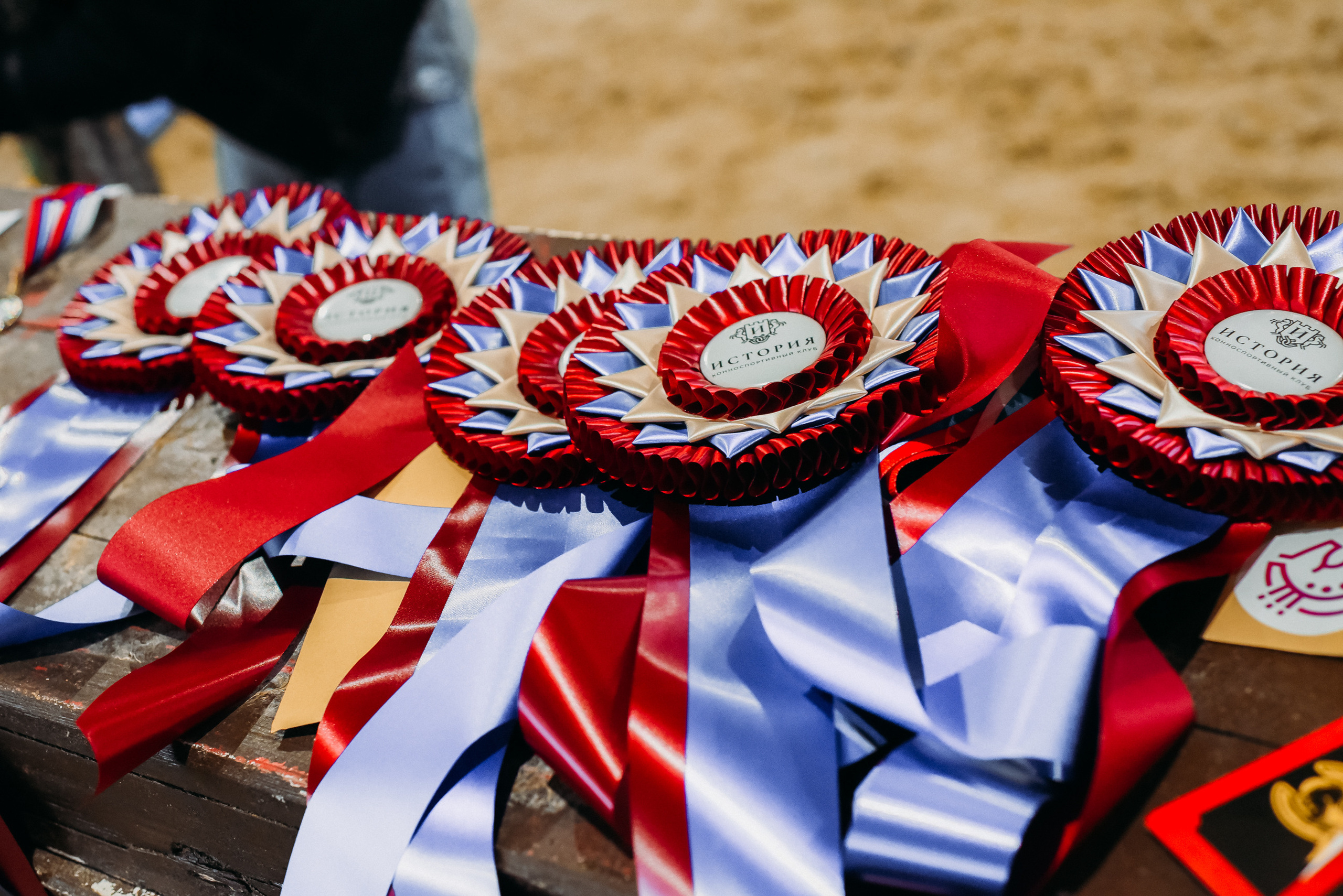 КСК История. Финал 2022 г.Конкур. Фотограф Рязань