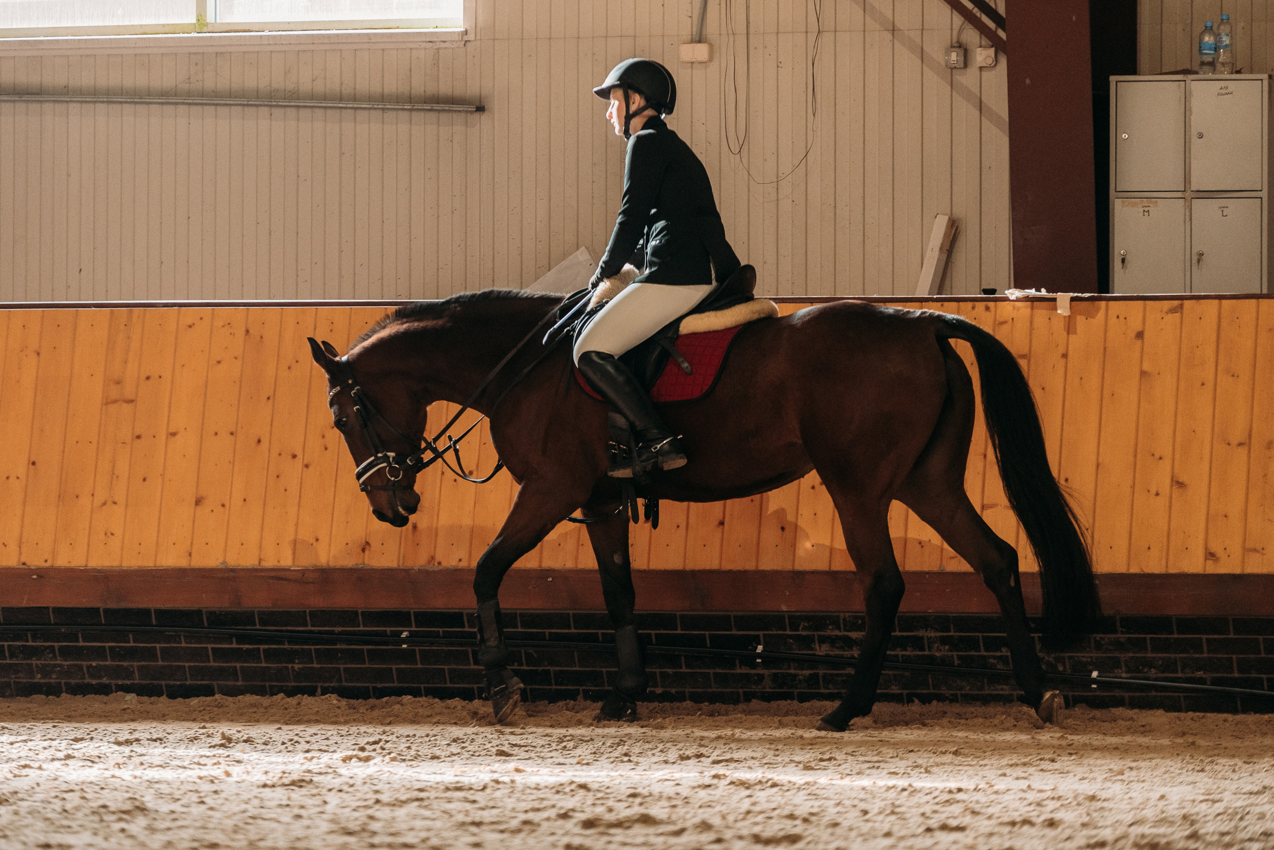 КСК История. Финал 2022 г.Конкур. Фотограф Рязань