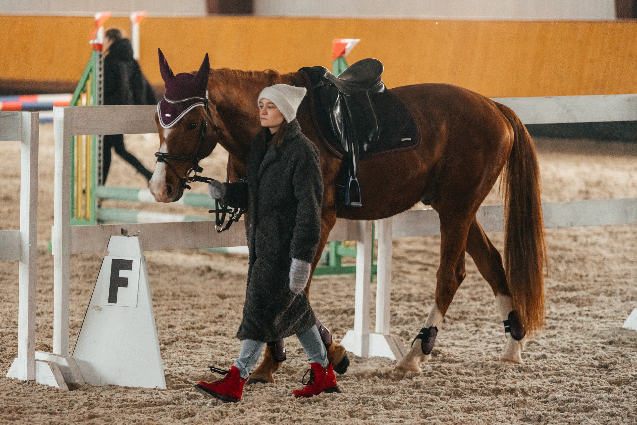 КСК История. 25.02.2023. Конкур. Фотограф Рязань