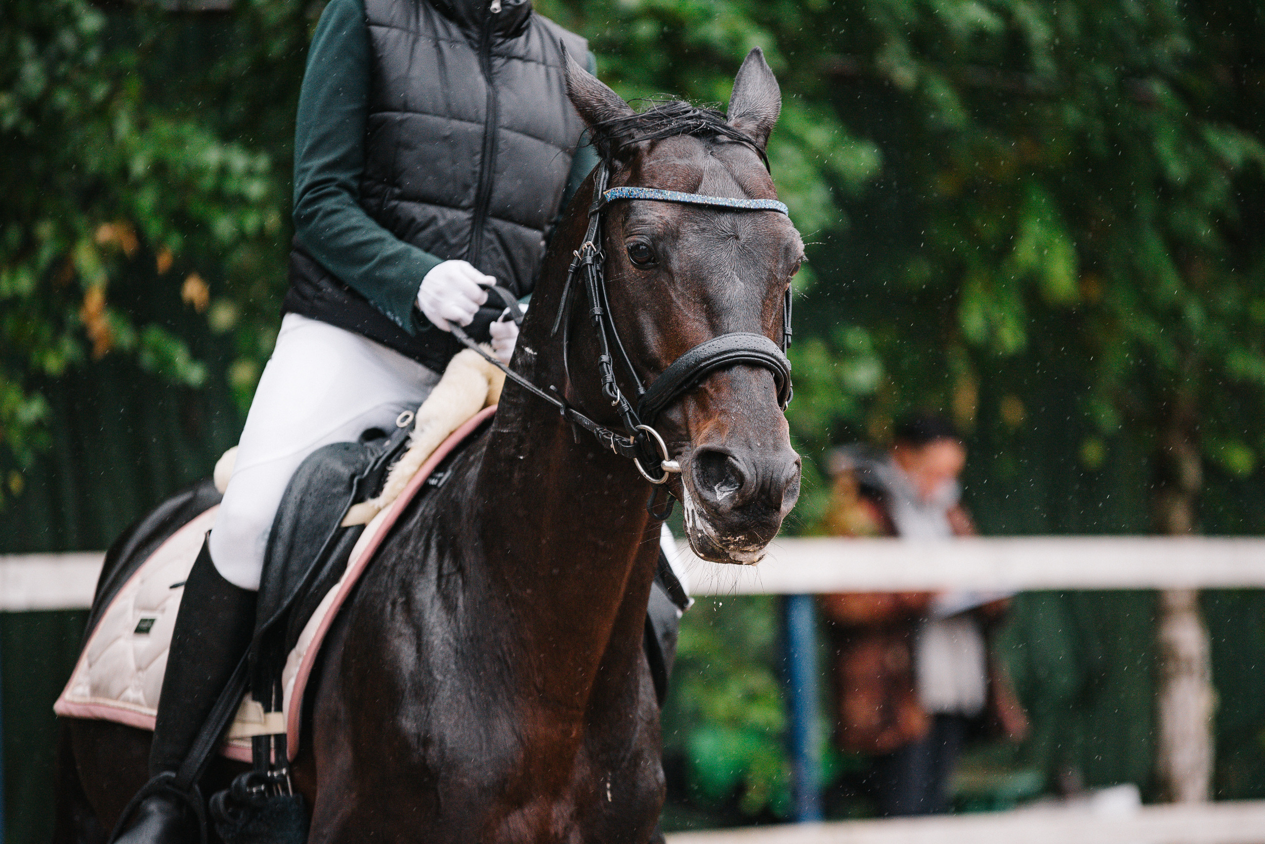 КСК Росинант. Клубные соревнования-выездка. Фотограф Рязань