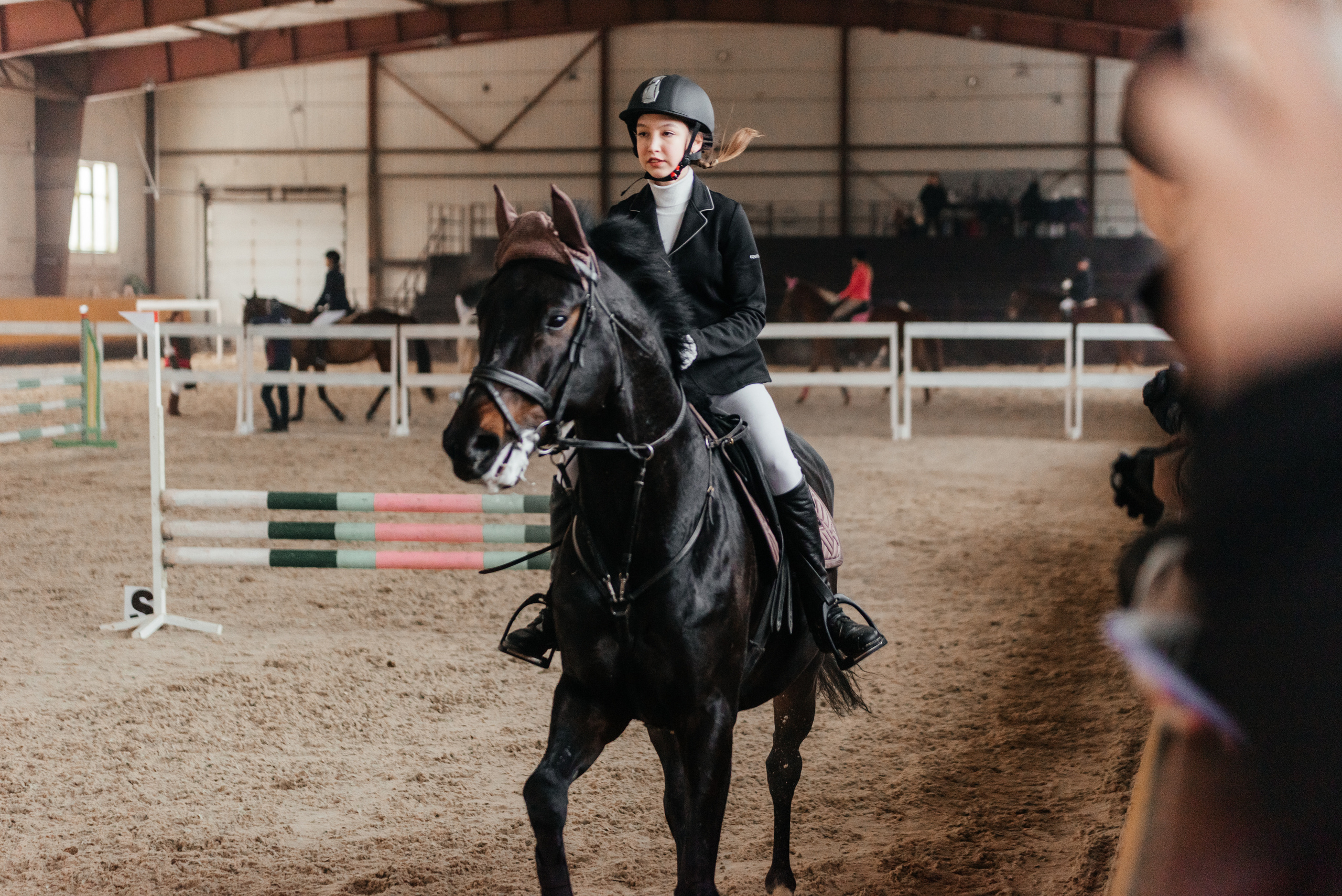 КСК История. 25.02.2023. Конкур. Фотограф Рязань