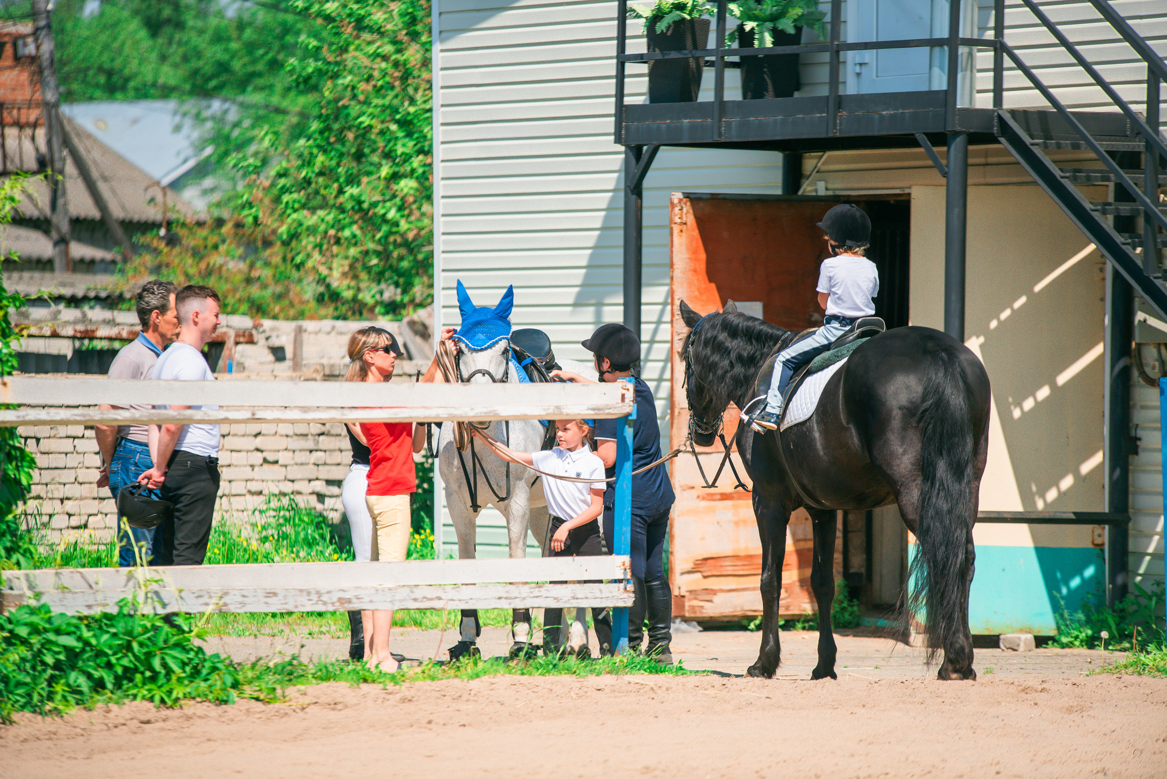КСК Росинант. Клубные соревнования. Фотограф Рязань