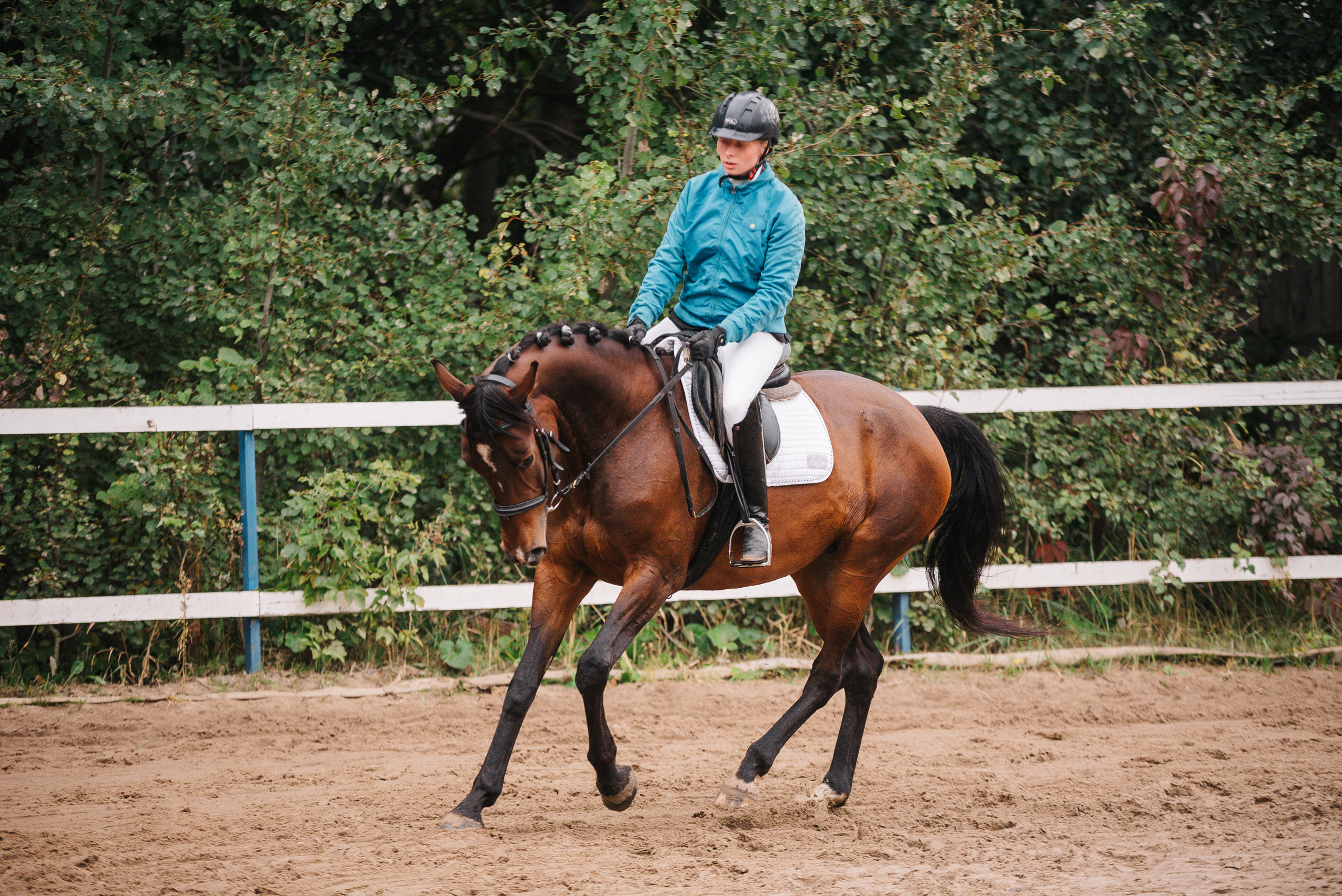 КСК Росинант. Клубные соревнования-выездка. Фотограф Рязань