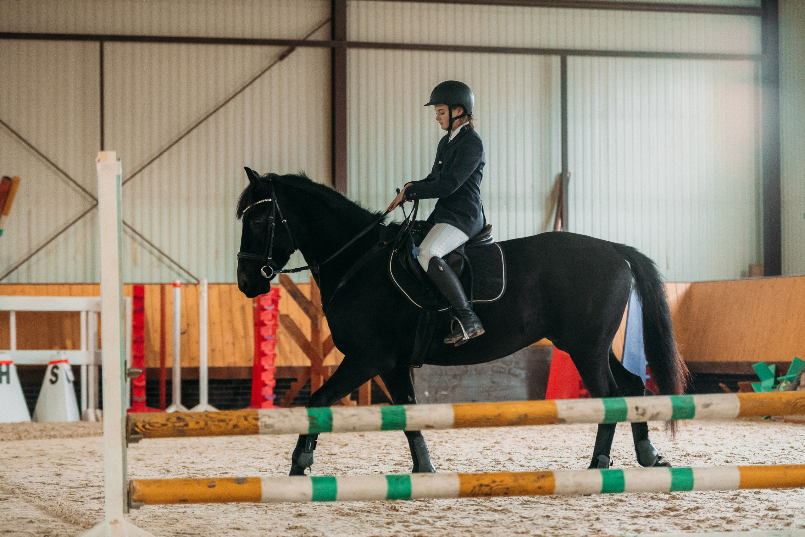 КСК История. Финал 2022 г.Конкур. Фотограф Рязань