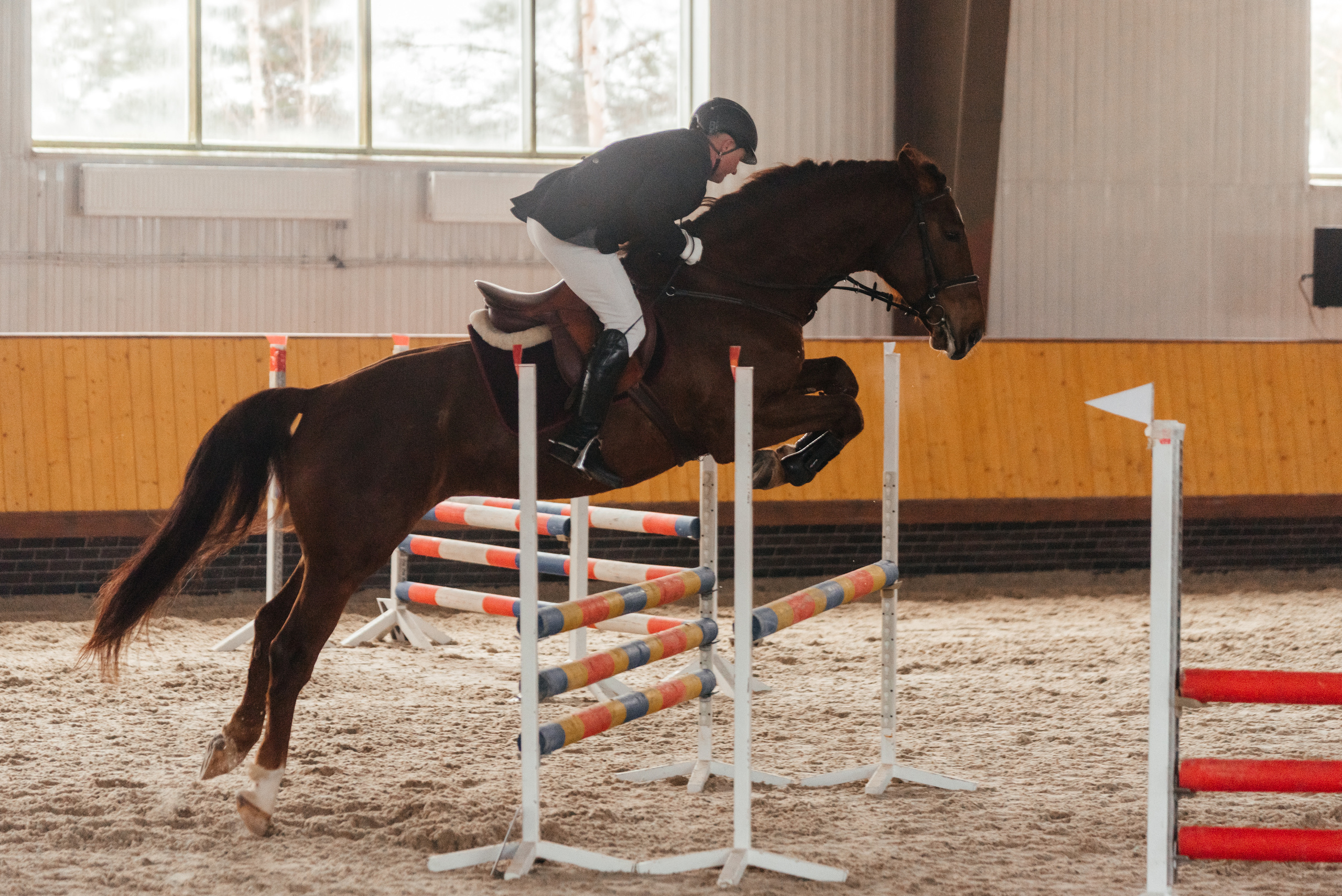 КСК История. 25.02.2023. Конкур. Фотограф Рязань