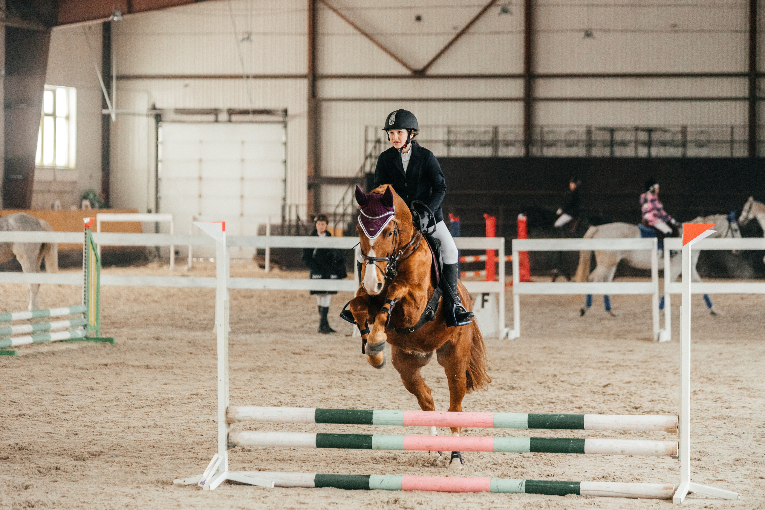 КСК История. 25.02.2023. Конкур. Фотограф Рязань