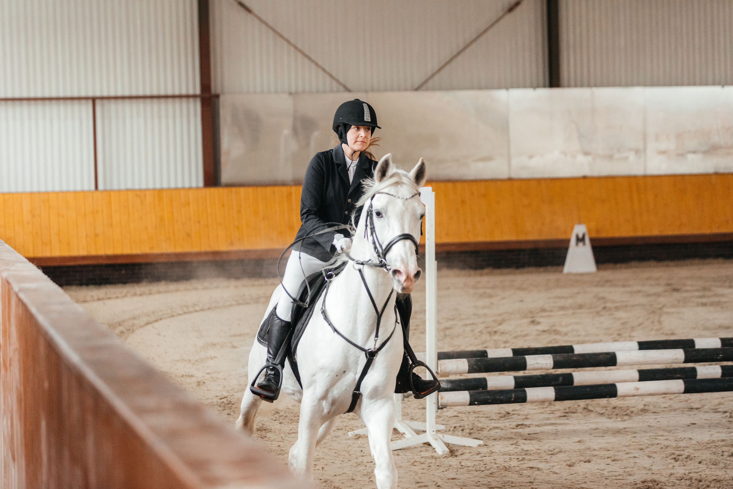 КСК История. 25.02.2023. Конкур. Фотограф Рязань