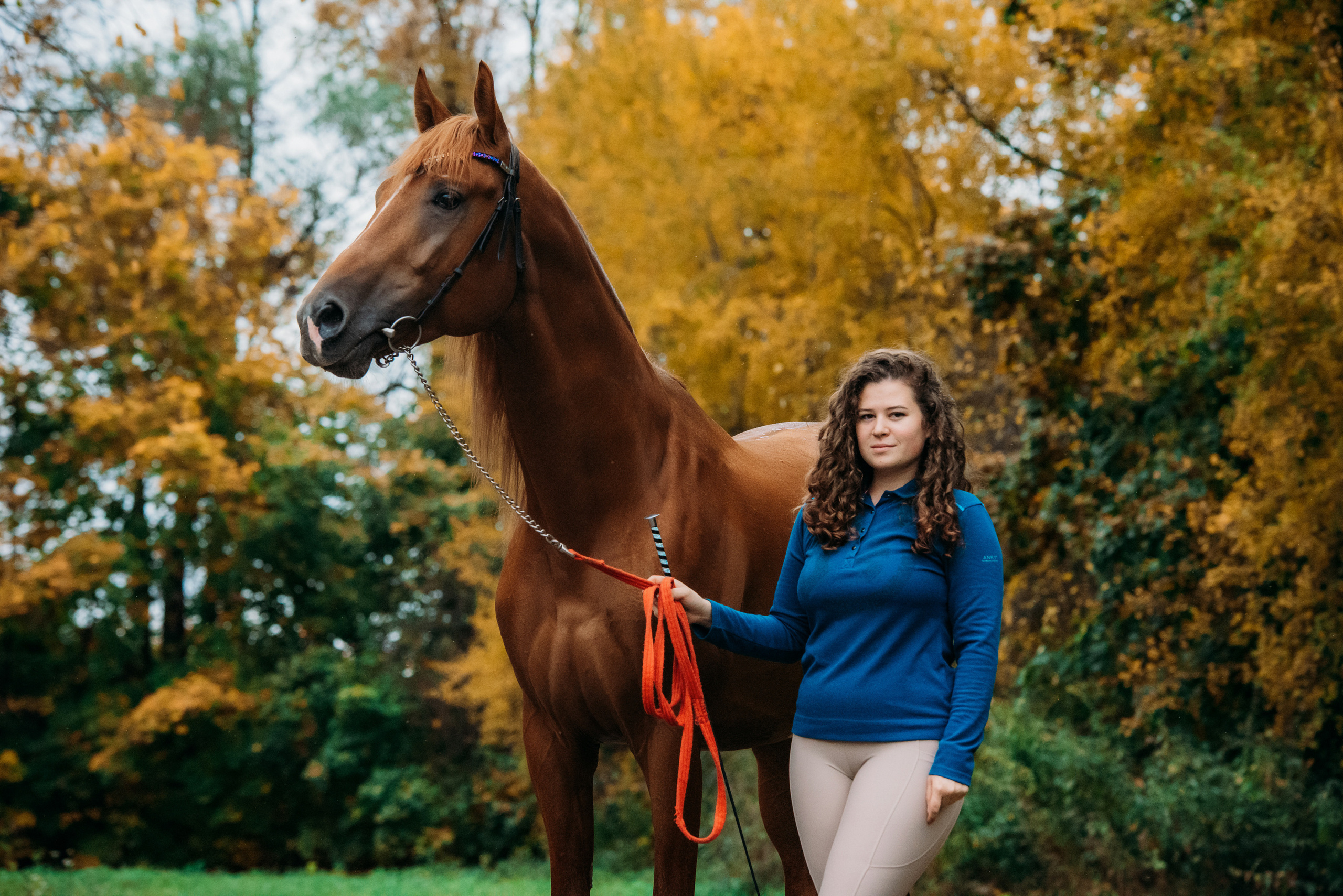 Фотосессии с лошадьми. Фотограф Рязань