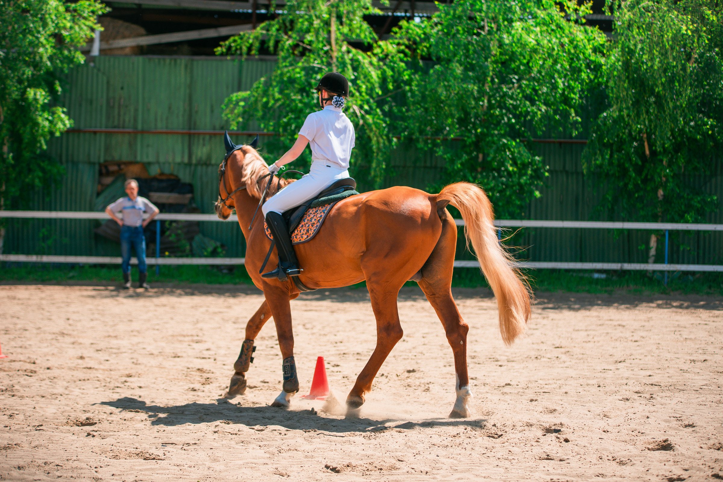КСК Росинант. Клубные соревнования. Фотограф Рязань