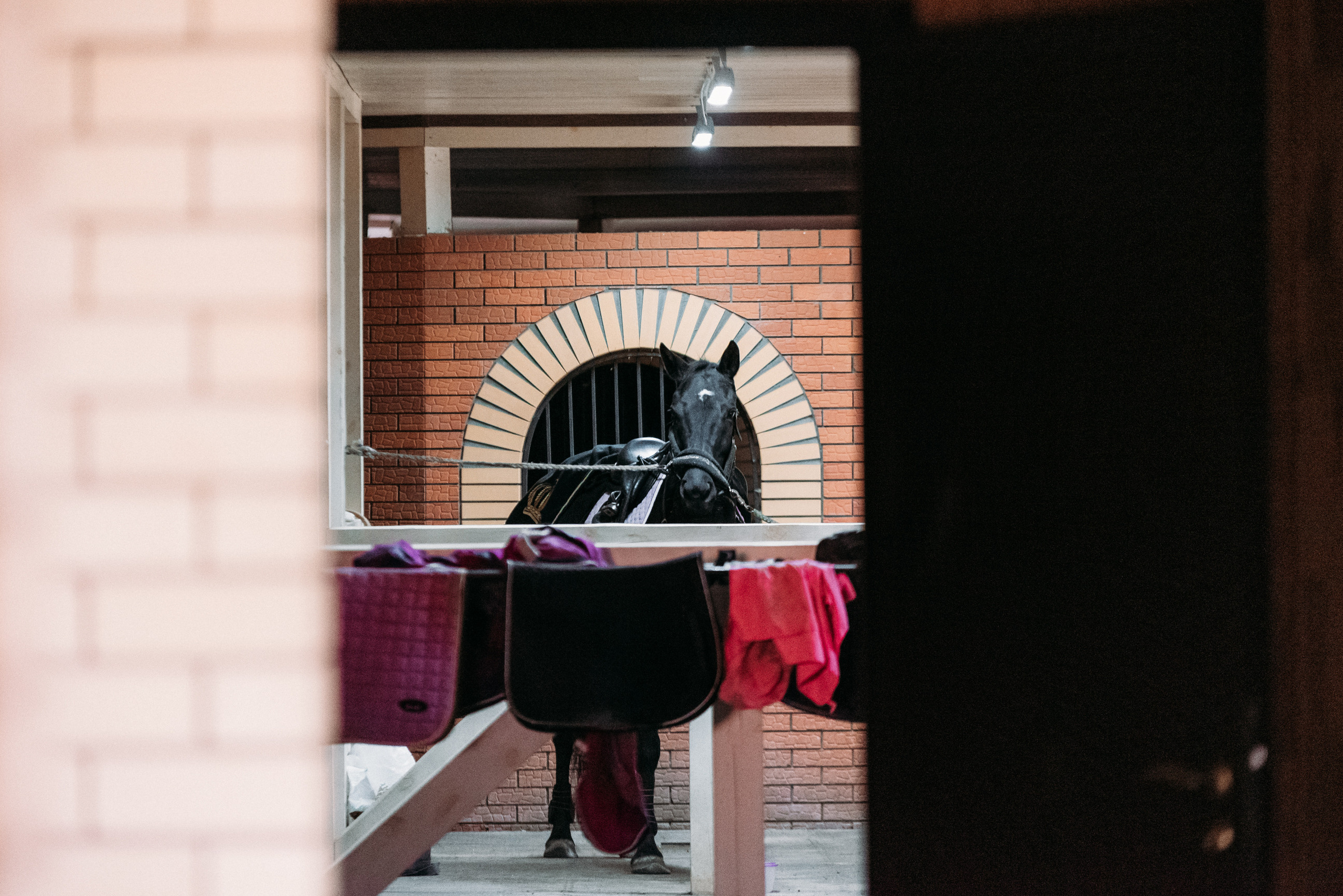 КСК История. Финал 2022 г.Конкур. Фотограф Рязань