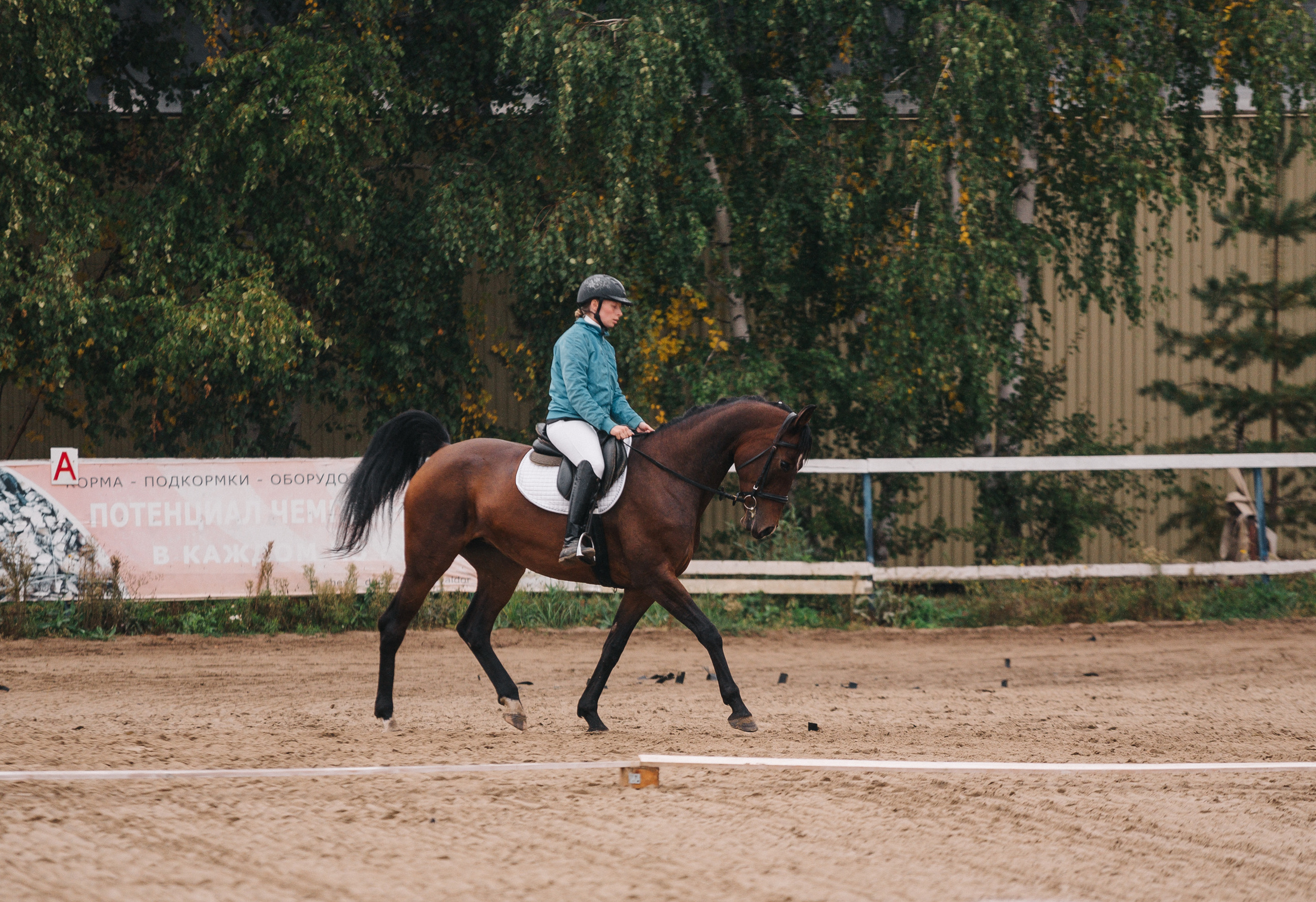 КСК Росинант. Клубные соревнования-выездка. Фотограф Рязань